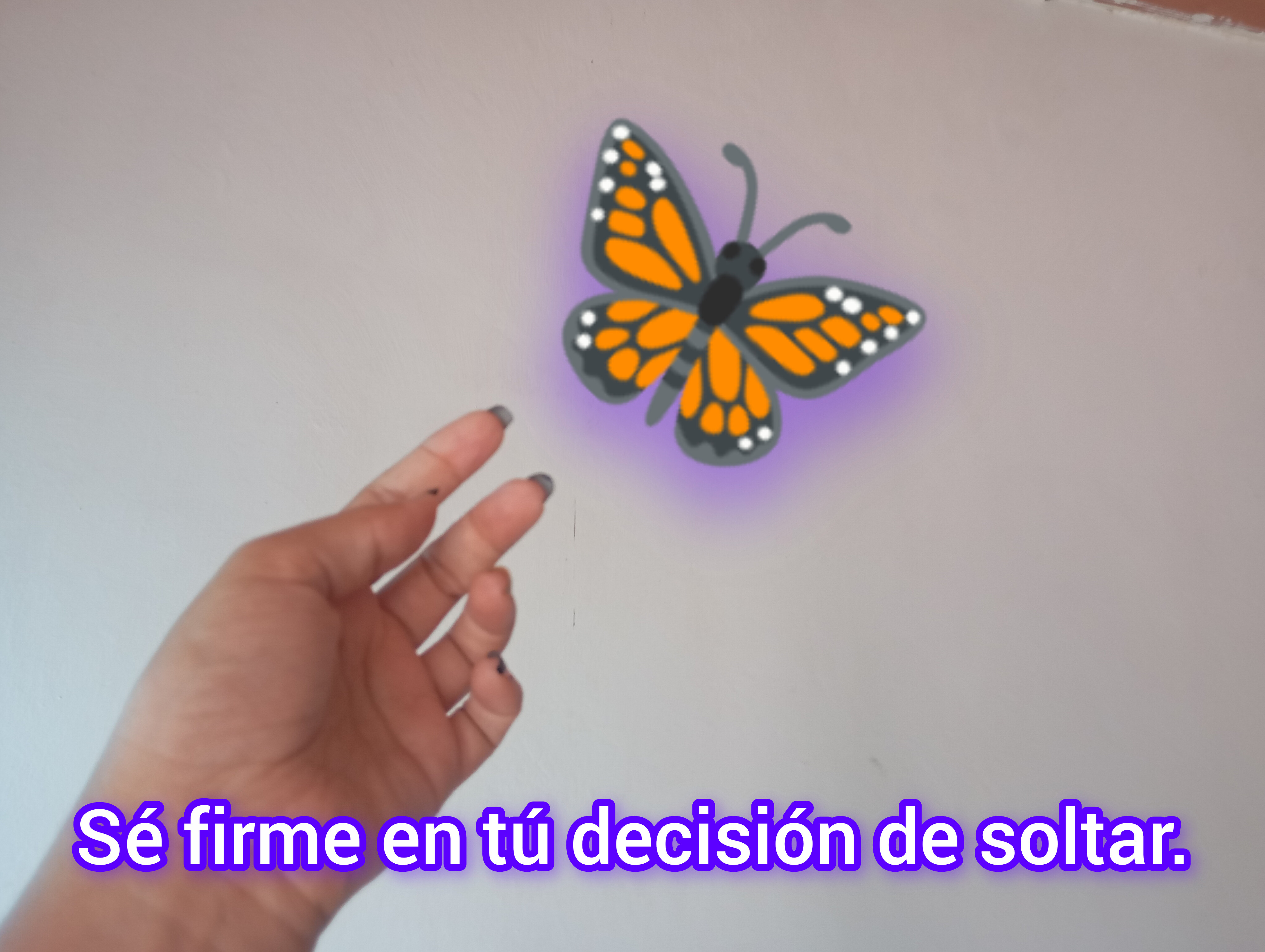 InShot_20250802_145622302.jpg