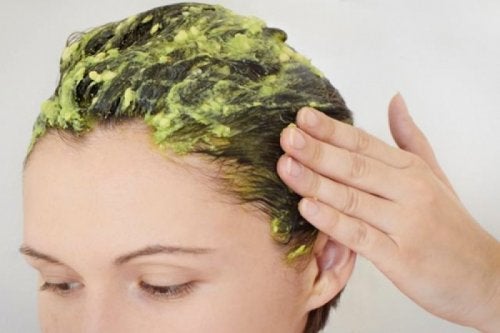 aguacate-cabello-500x333.jpg