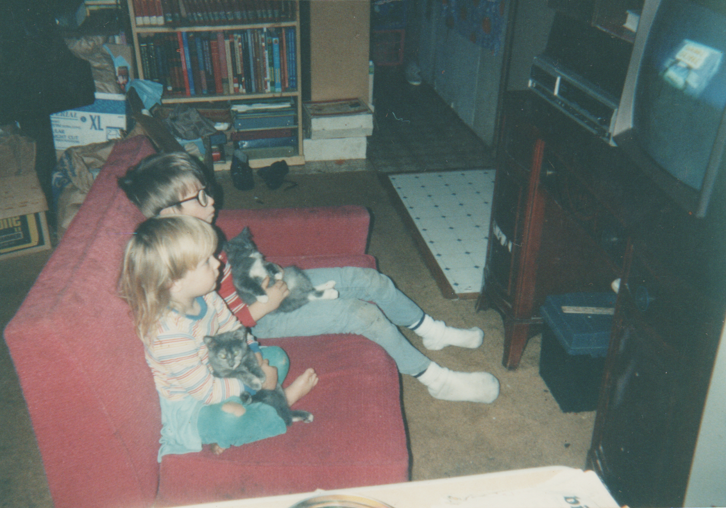 1992-12 - Inside the 163 house, Katie, Rick, Joey, Crystal, cats, couch, TV in living room, kitchen, rooms-6.png