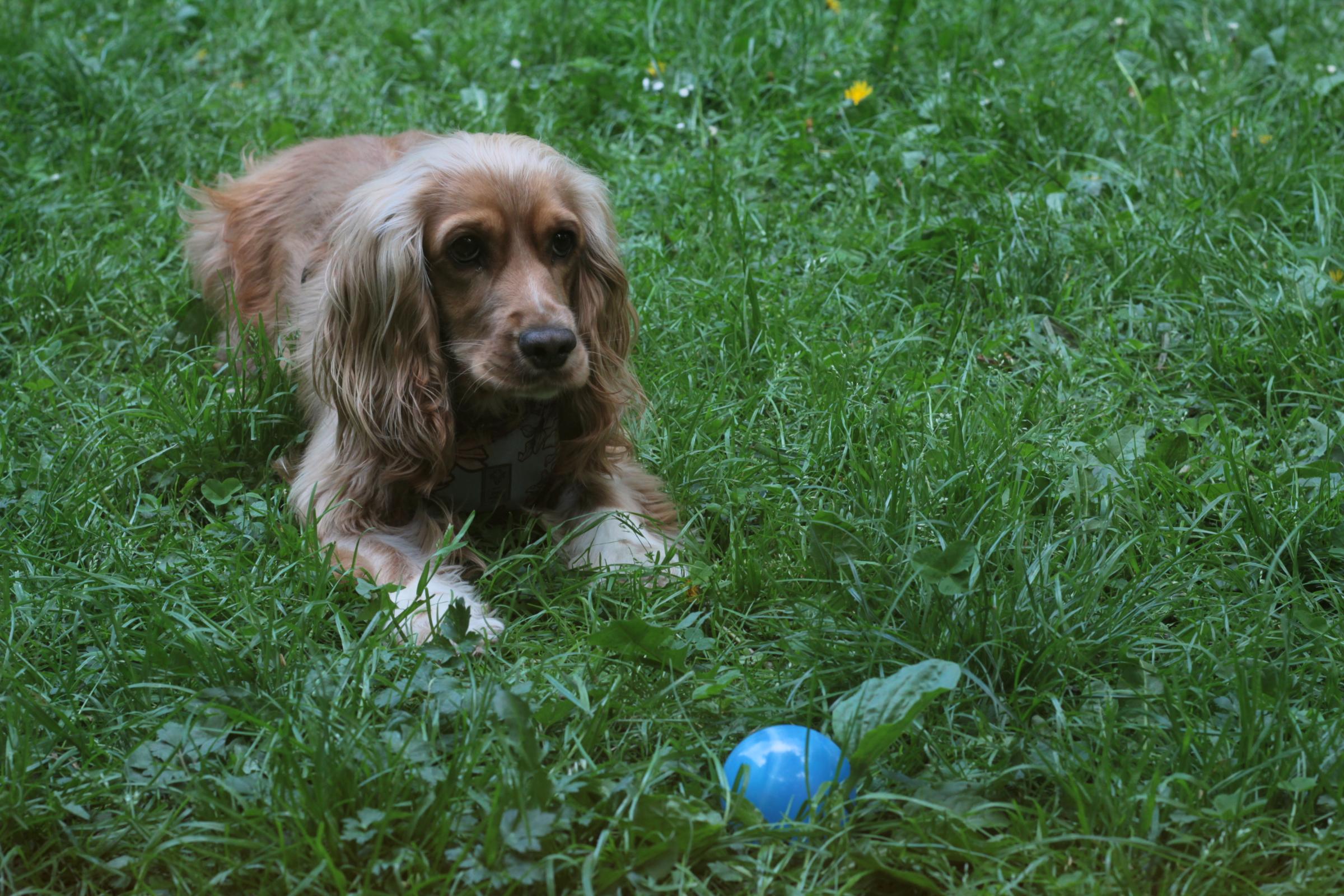 IMG_7268-crop.JPG