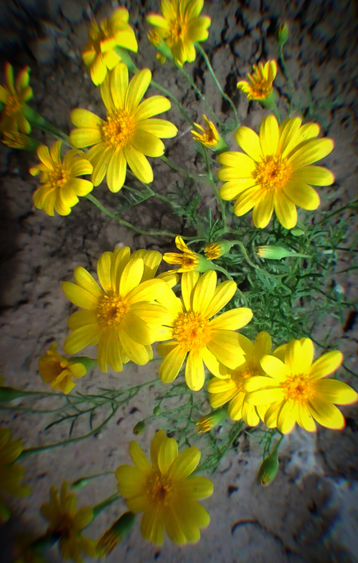 InShot_20240407_105118294.jpg