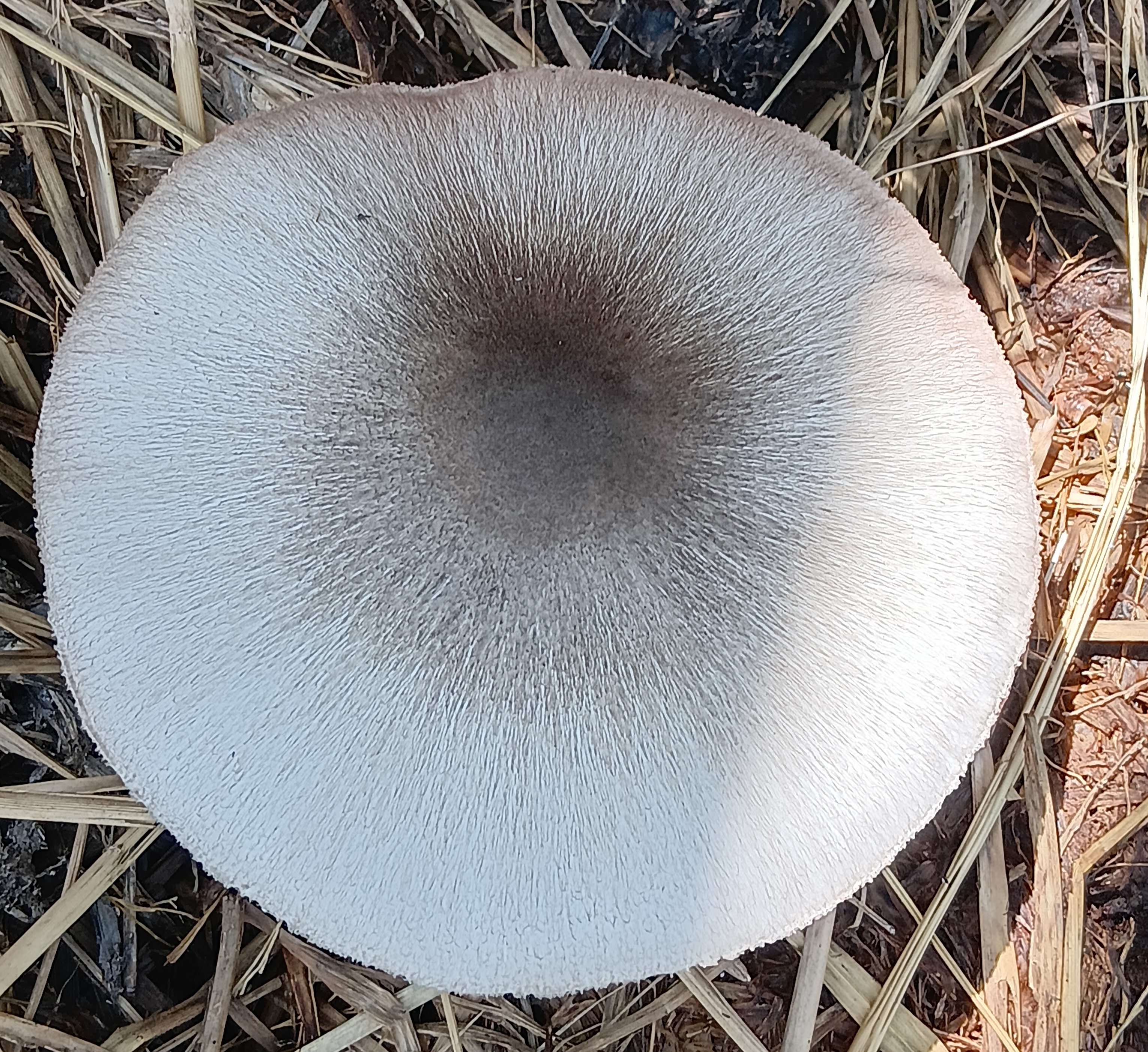 20250826_105654.jpg