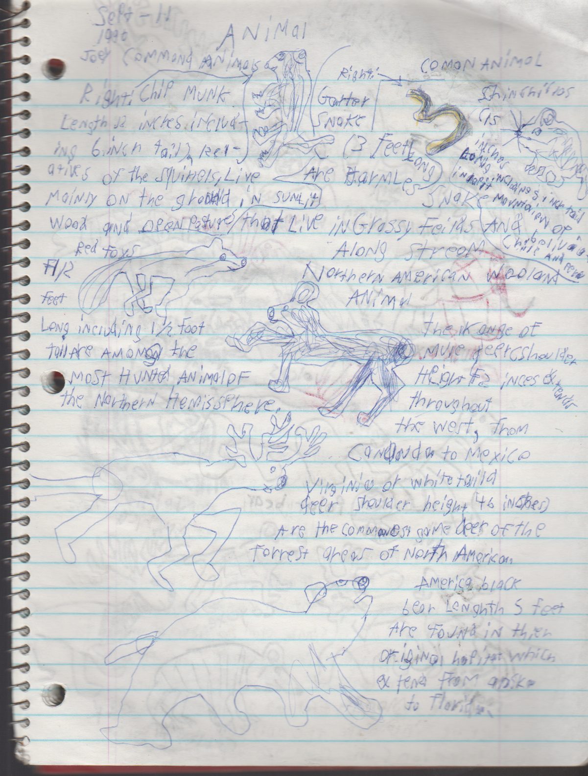 1996-08-18 - Saturday - 11 yr old Joey Arnold's School Book, dates through to 1998 apx, mostly 96, Writings, Drawings, Etc-005.png