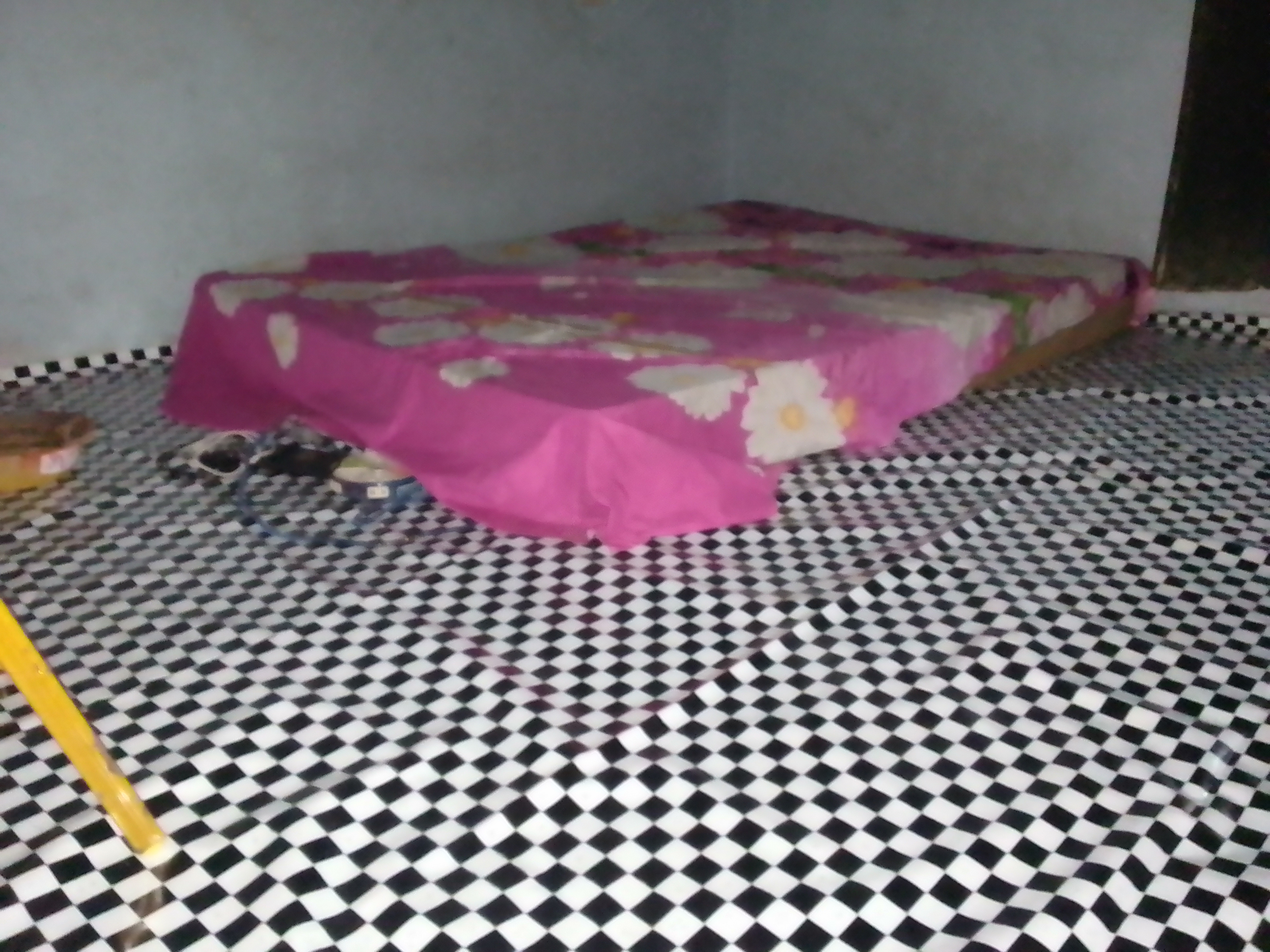 IMG_20250121_181254_747.jpg