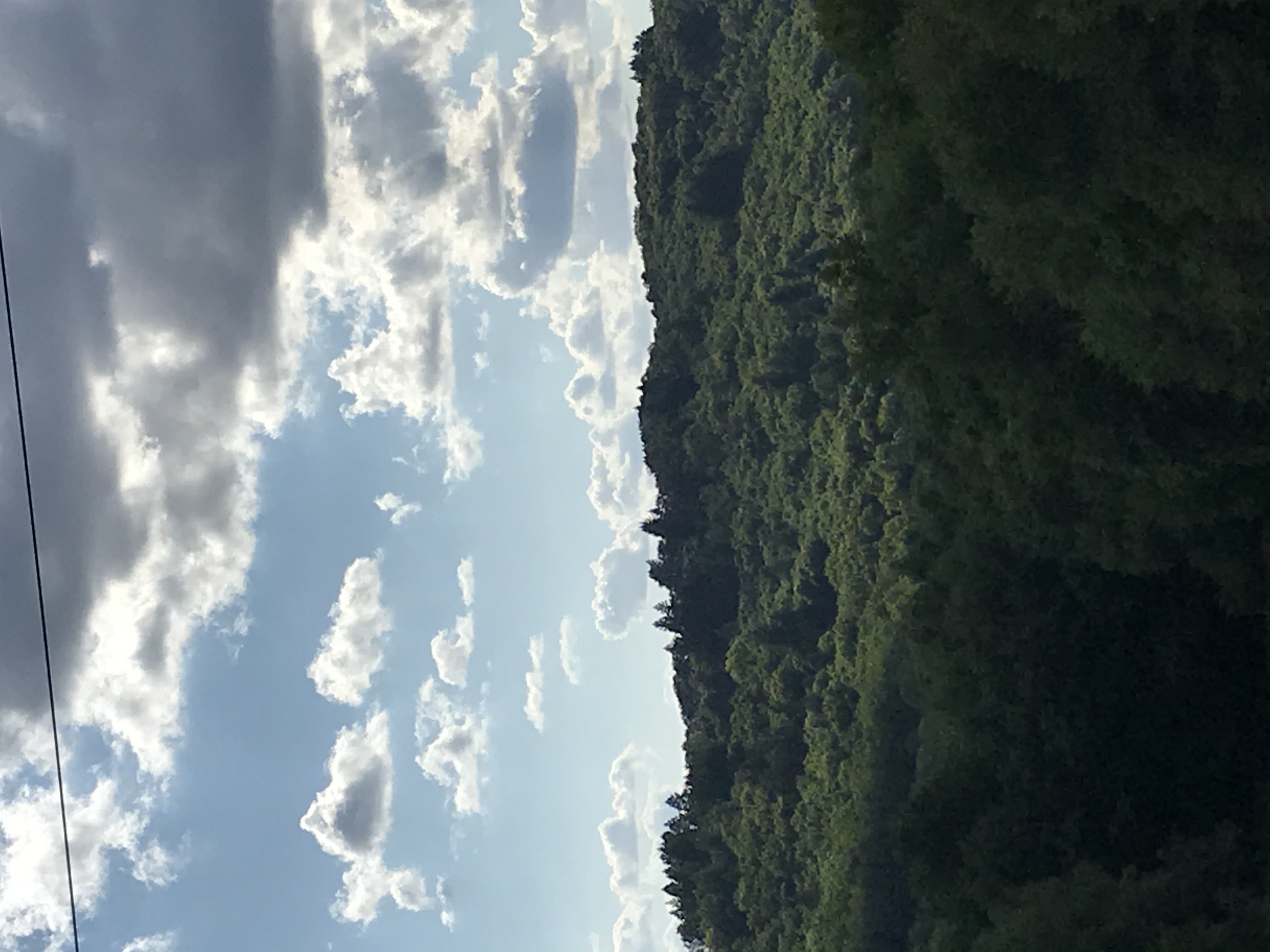 IMG_7481.jpeg