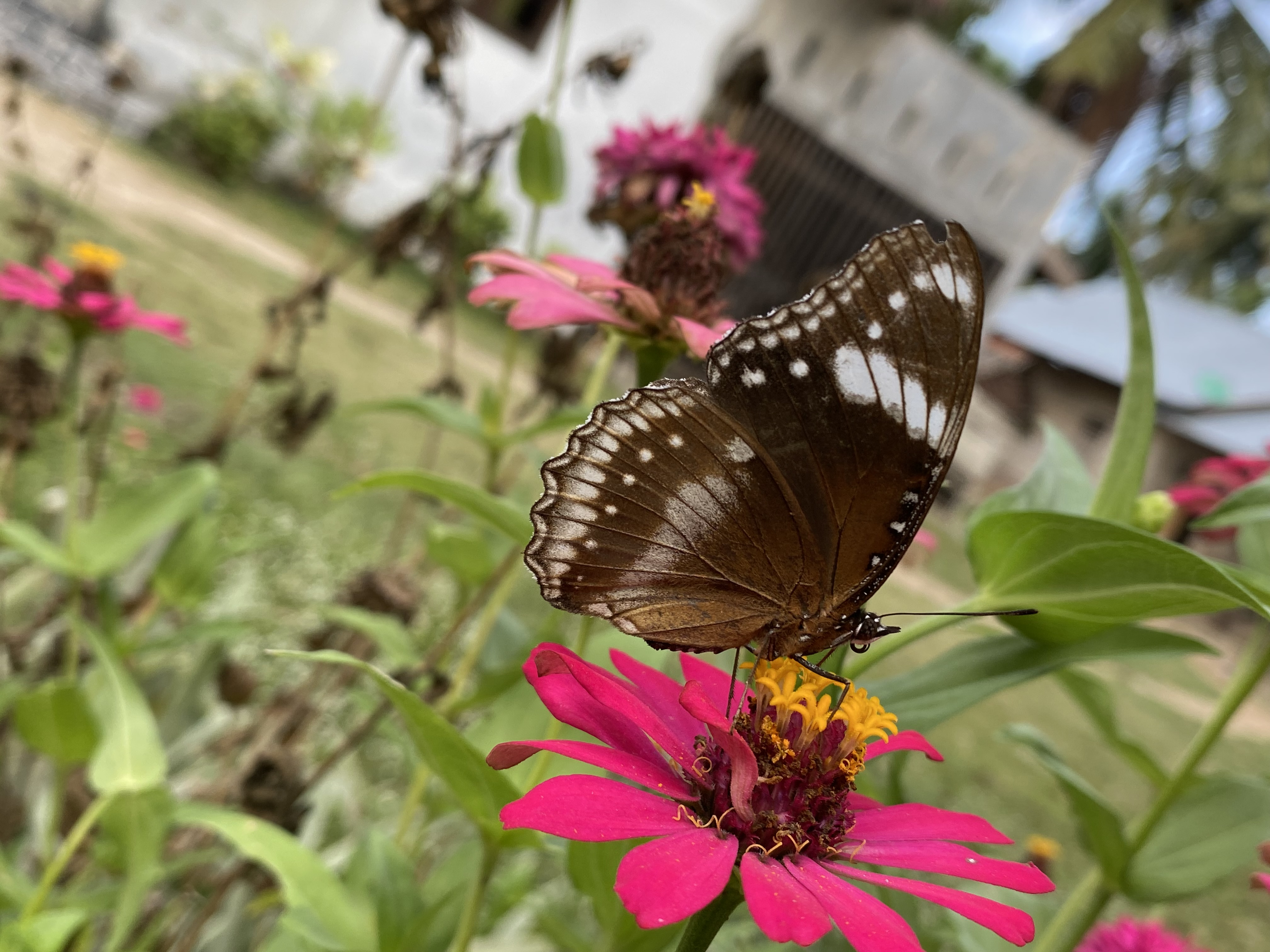 IMG_3848.jpeg