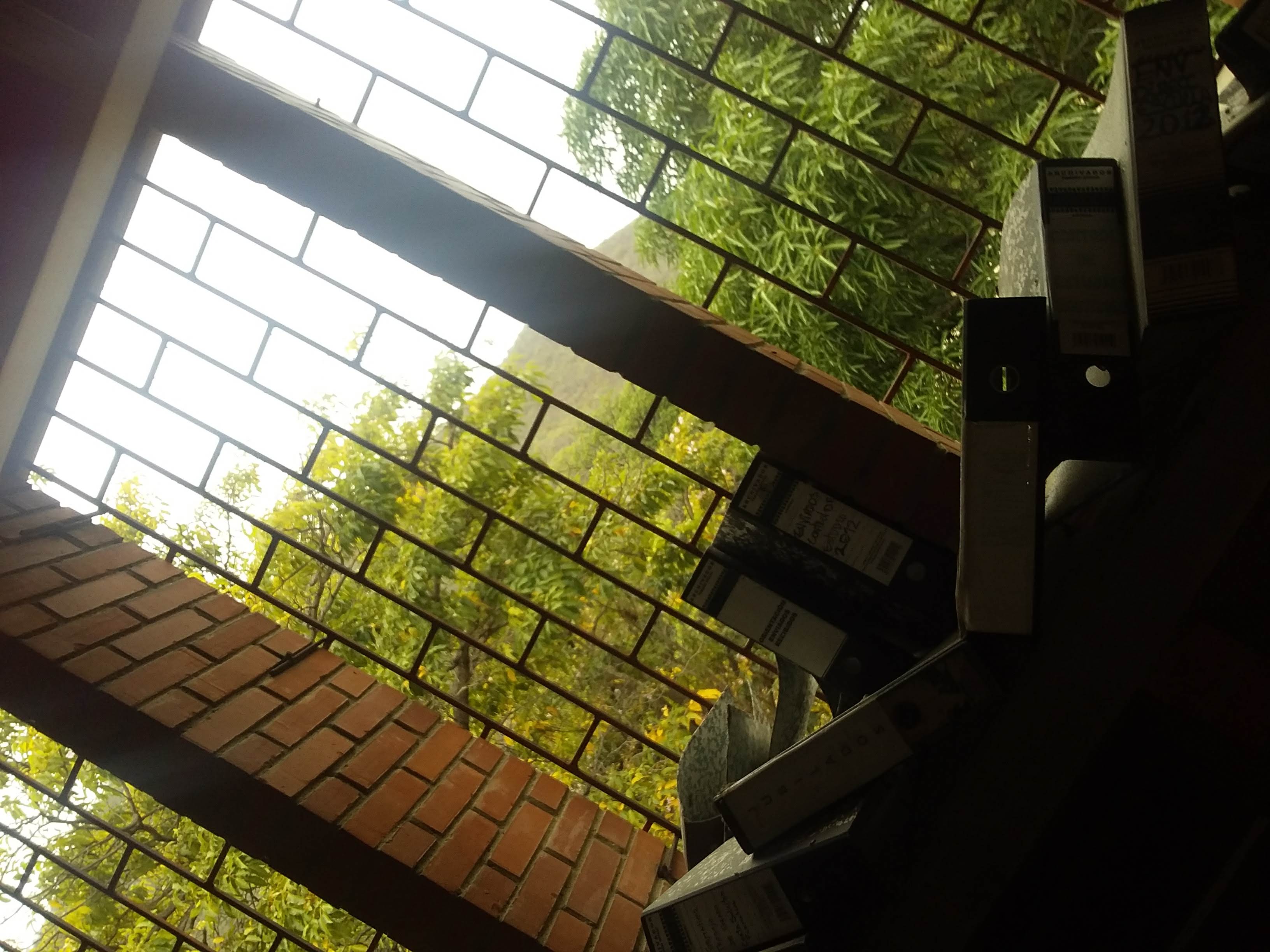 20220310_110704.jpg