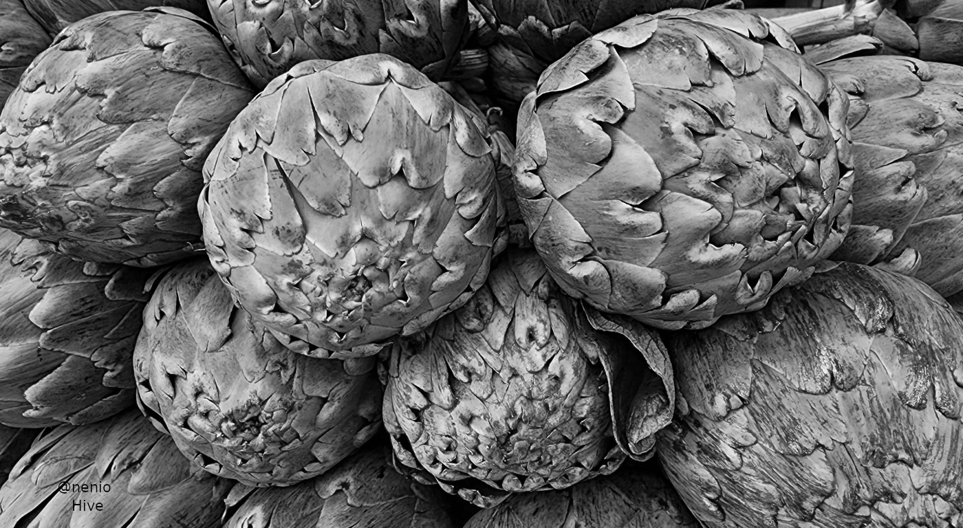 artichokes-001-bw.jpg