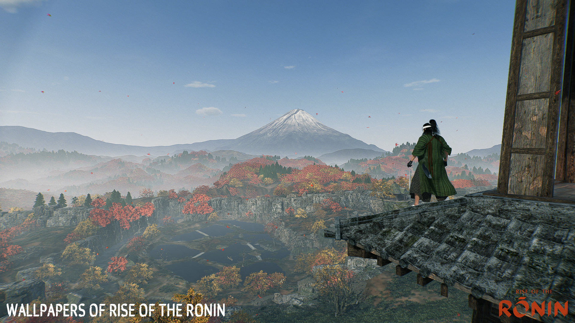 Ronin.jpg