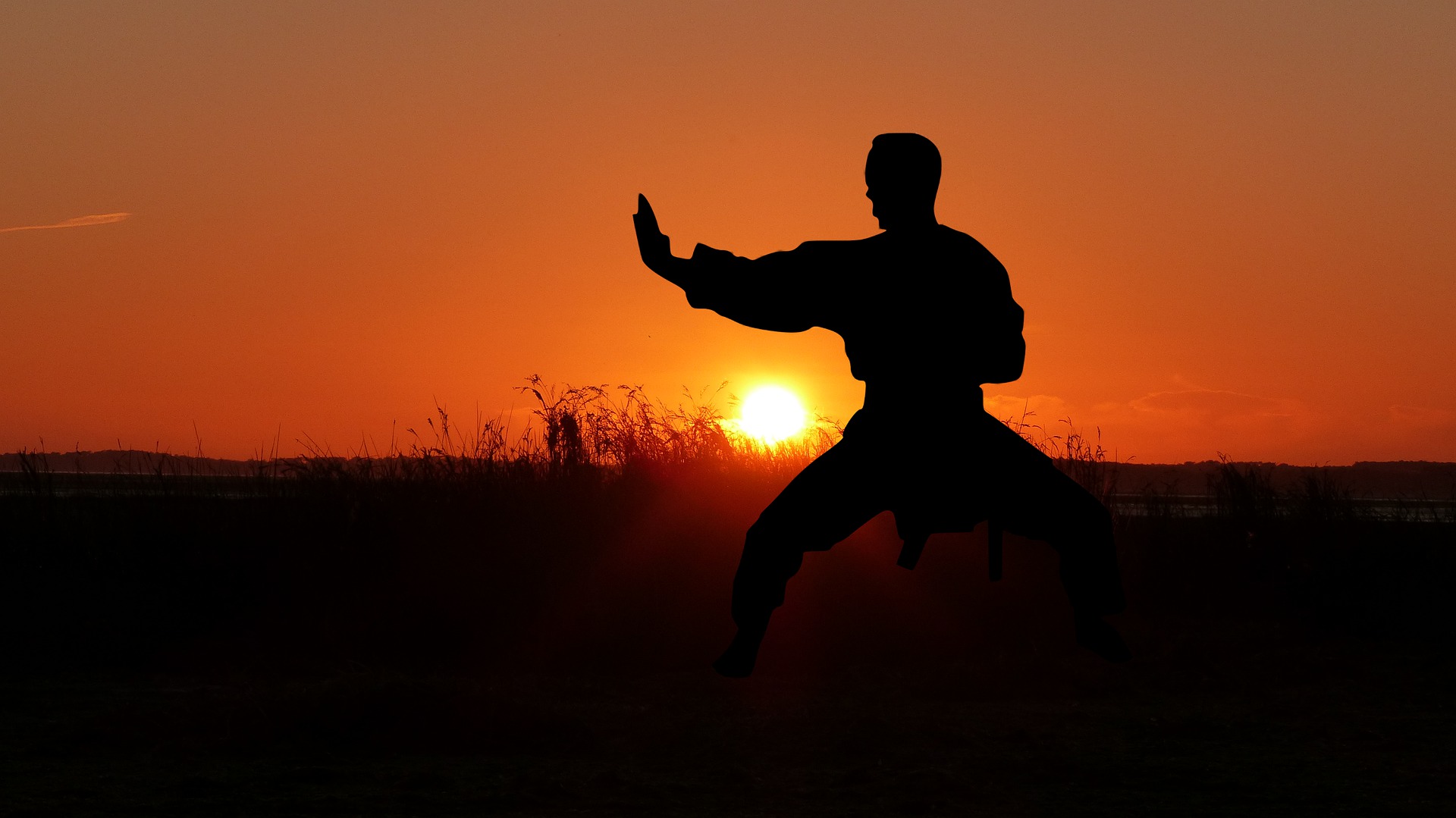 A martial artist practicing martial arts.jpg