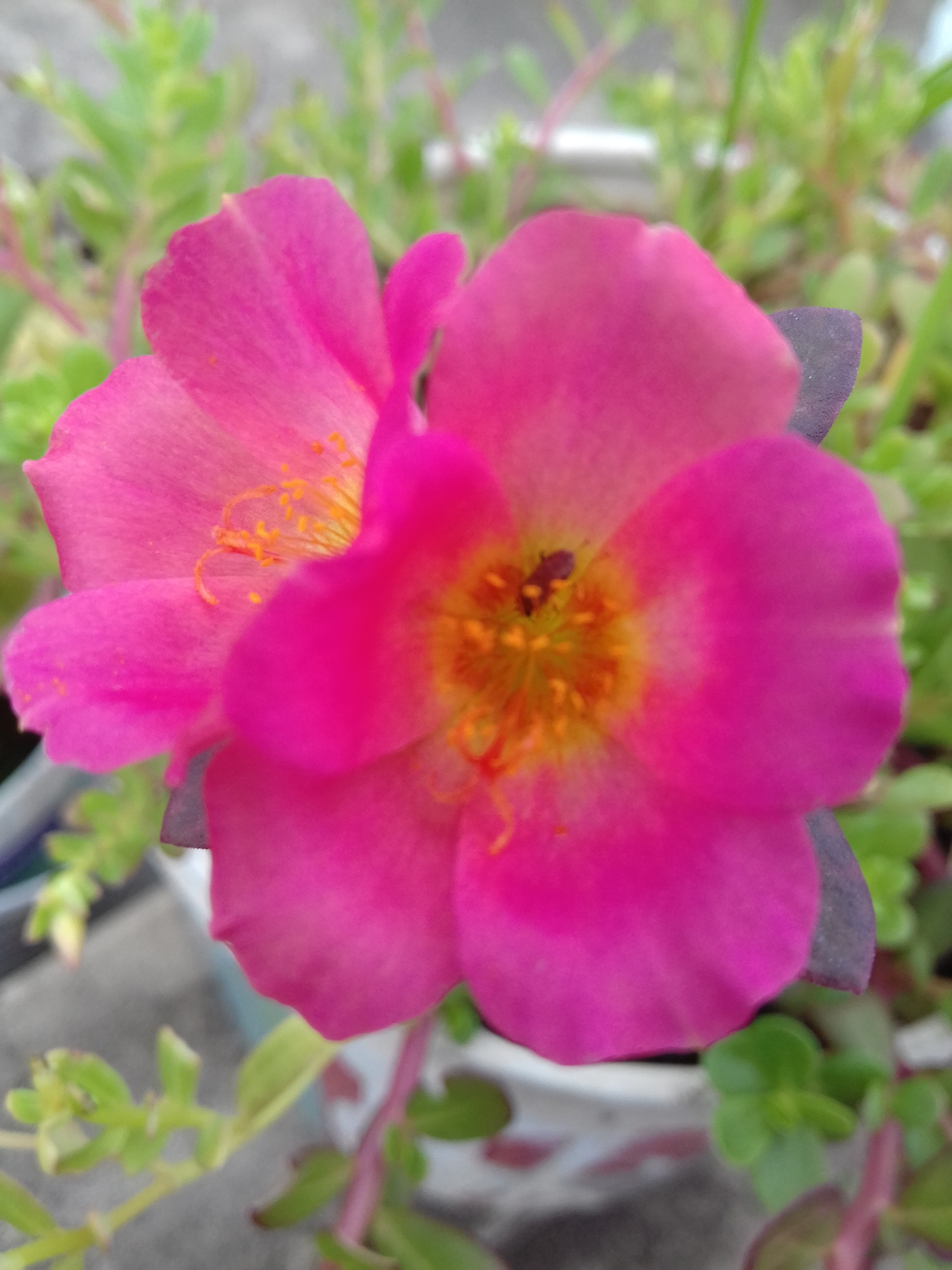 20190621_105608.jpg