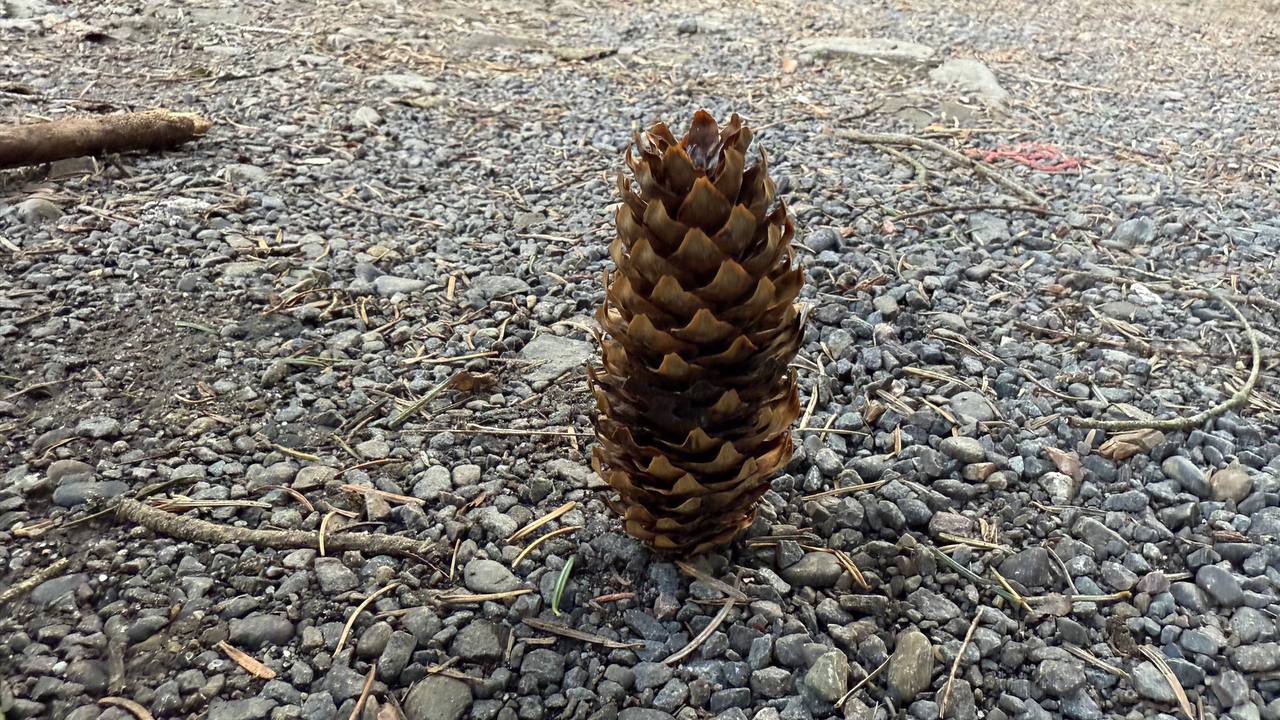 IMG_0456.jpeg