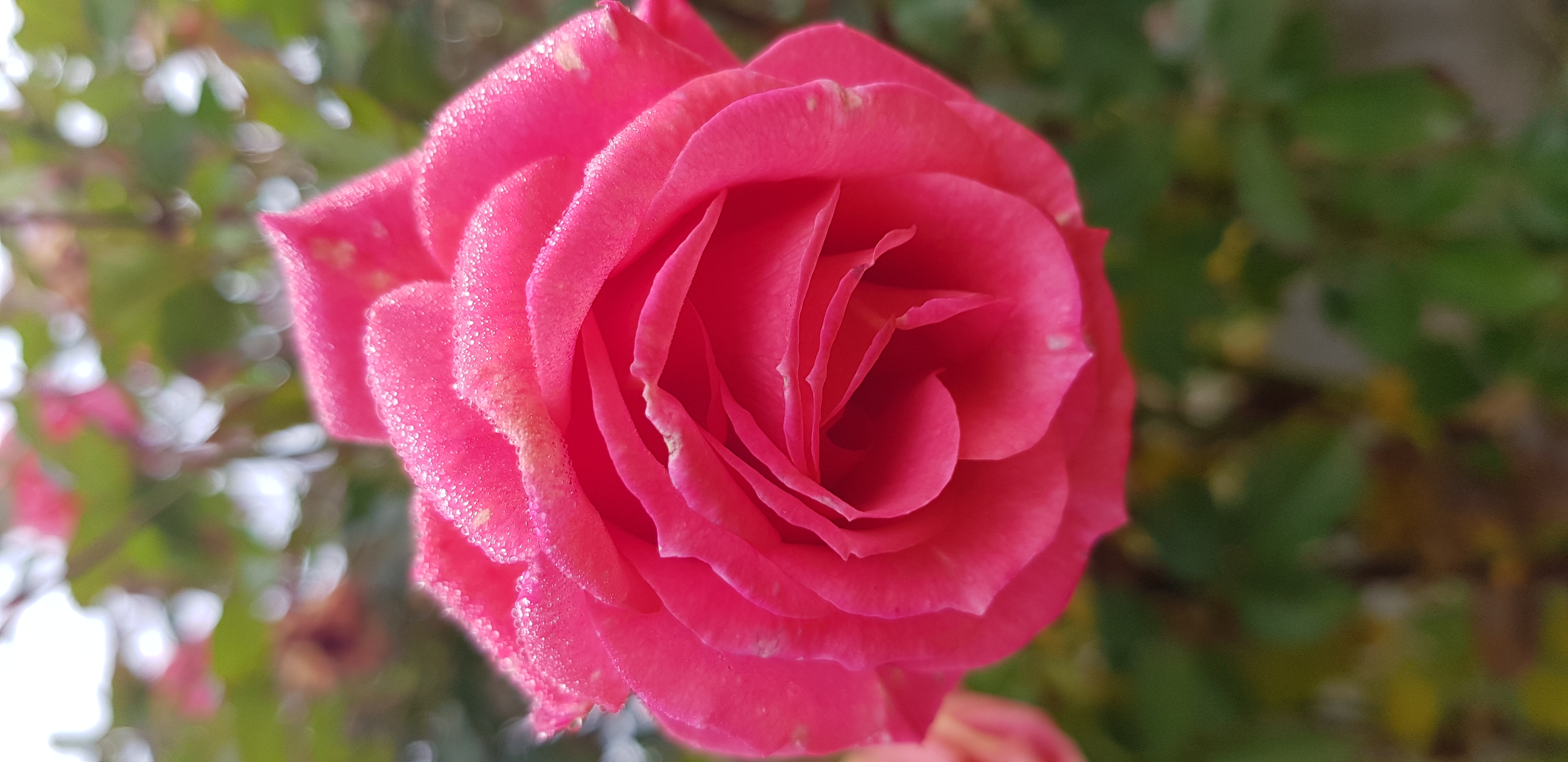 20221024_100214.jpg