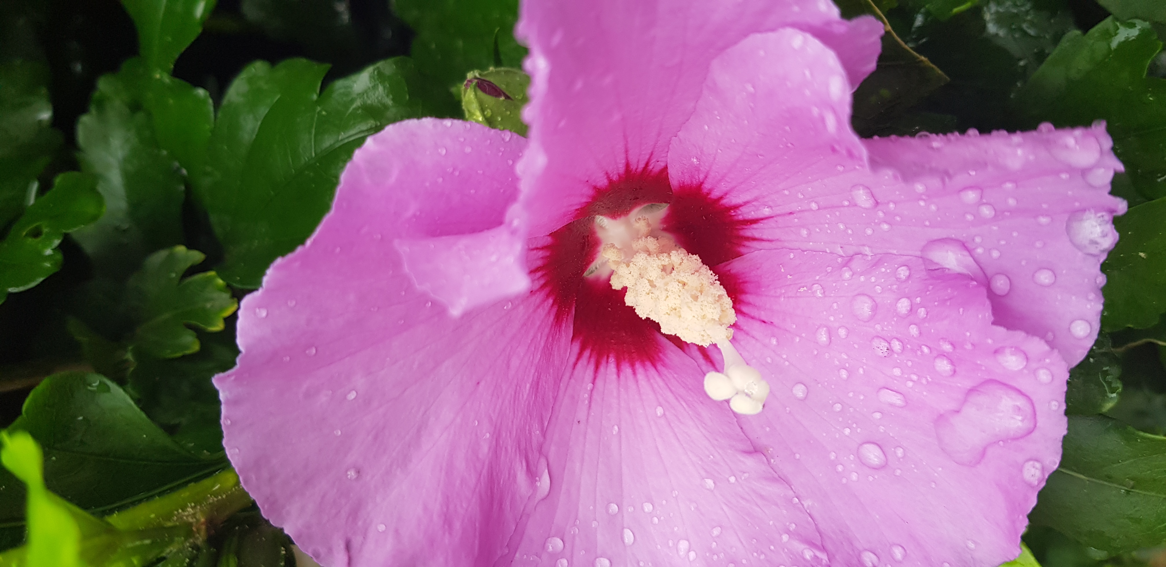 20230725_063050.jpg