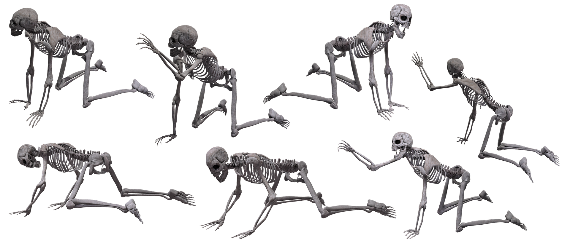skeleton-3393822_1920.png