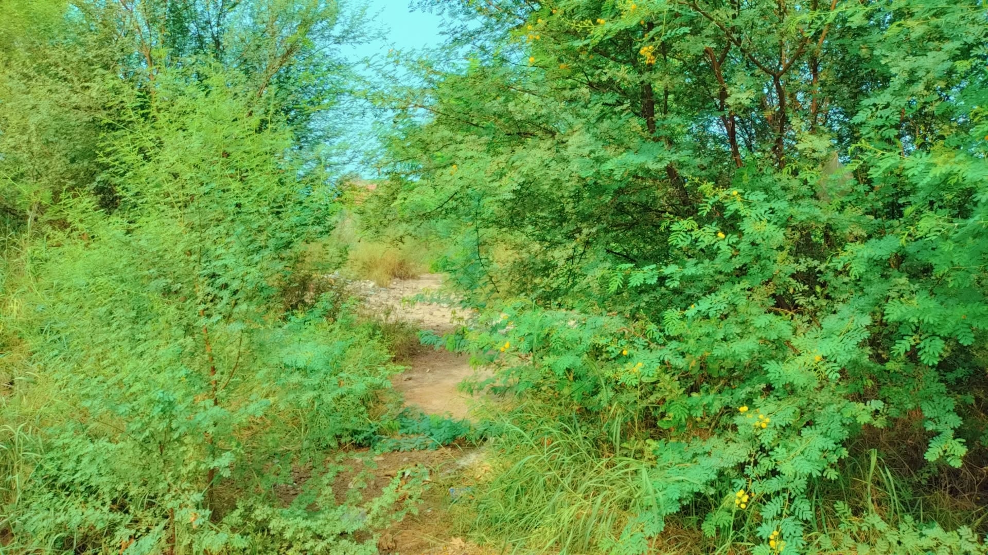 IMG_20250828_095921.jpg