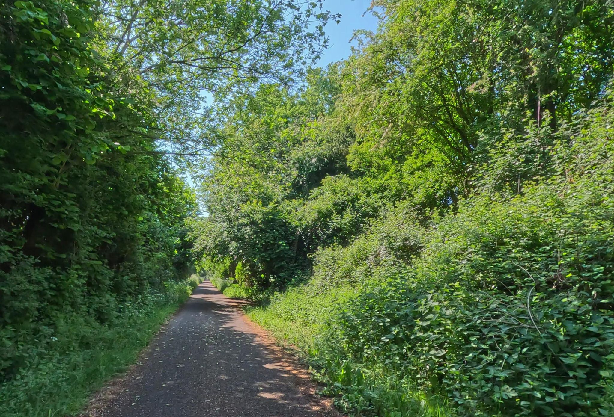 footer_image_14476113023.png