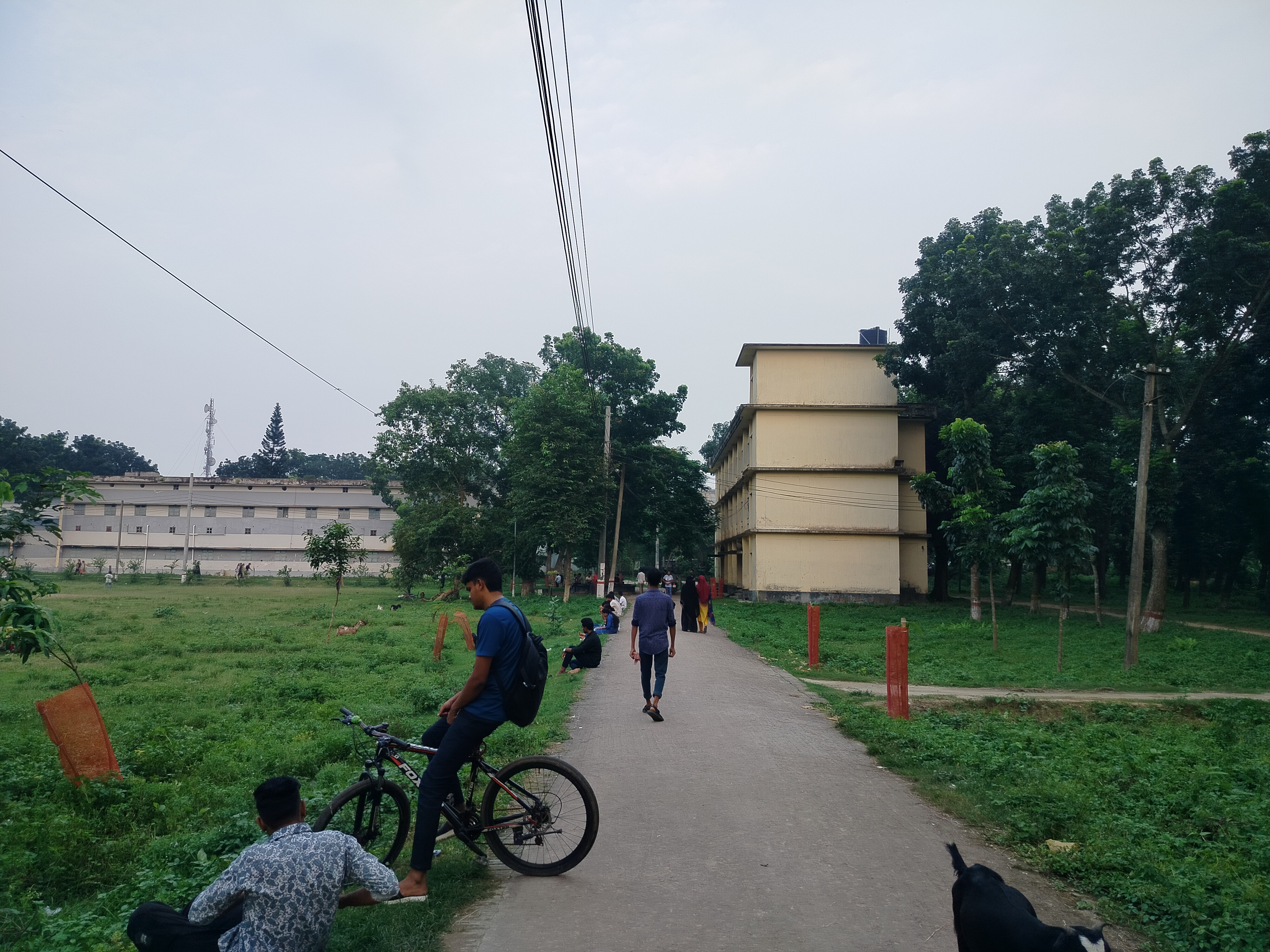 IMG20250809175537.jpg
