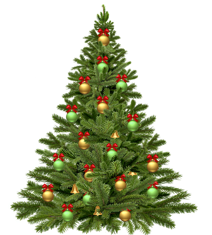 christmas-tree-1808558__480.webp