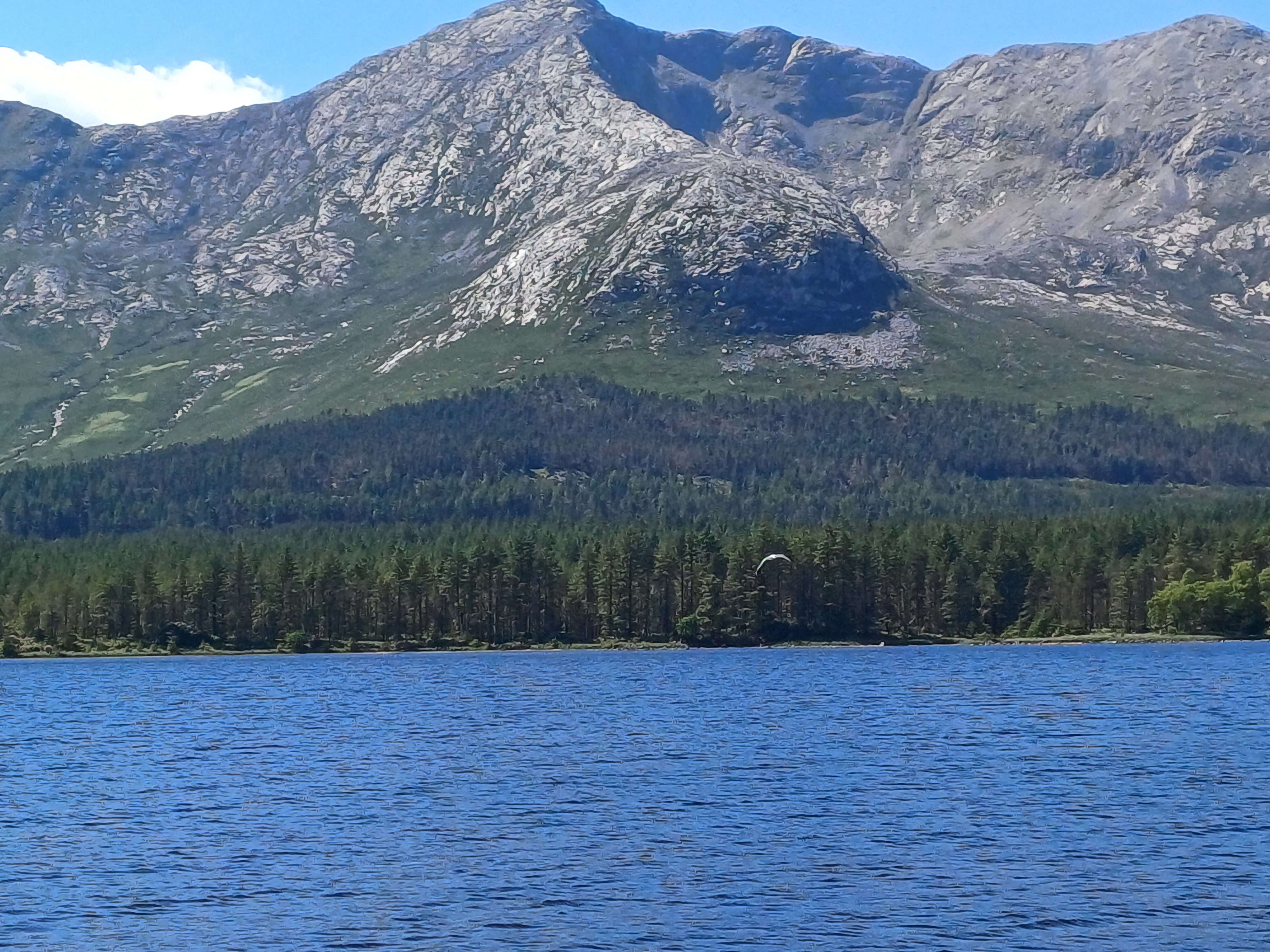 20250518_144214.jpg