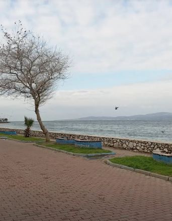 mudanya-sahil7.png