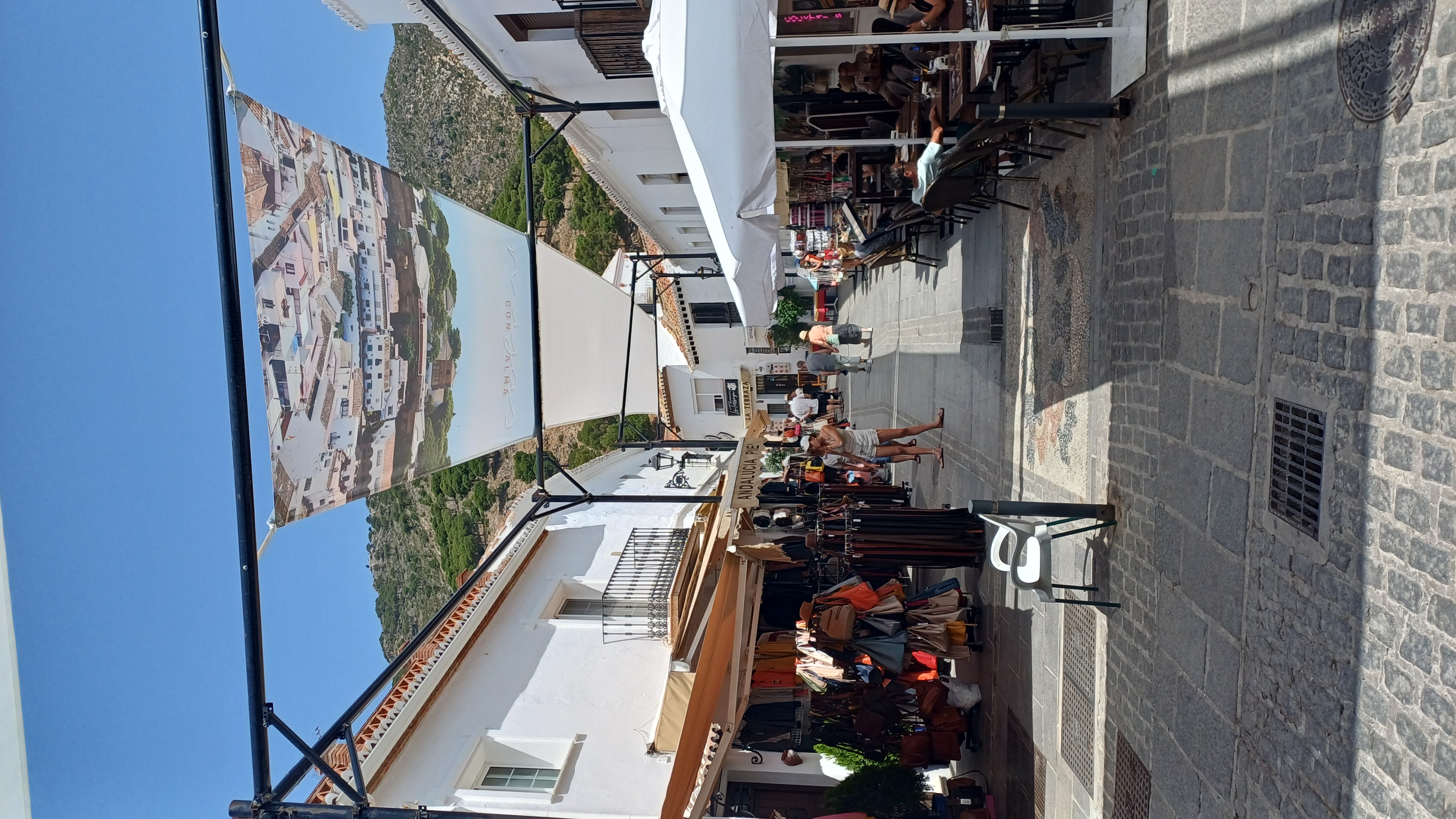 IMG-20250615-WA0012.jpeg