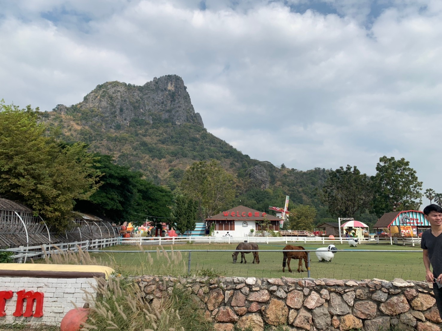 Swiss Sheep Farm20.jpg