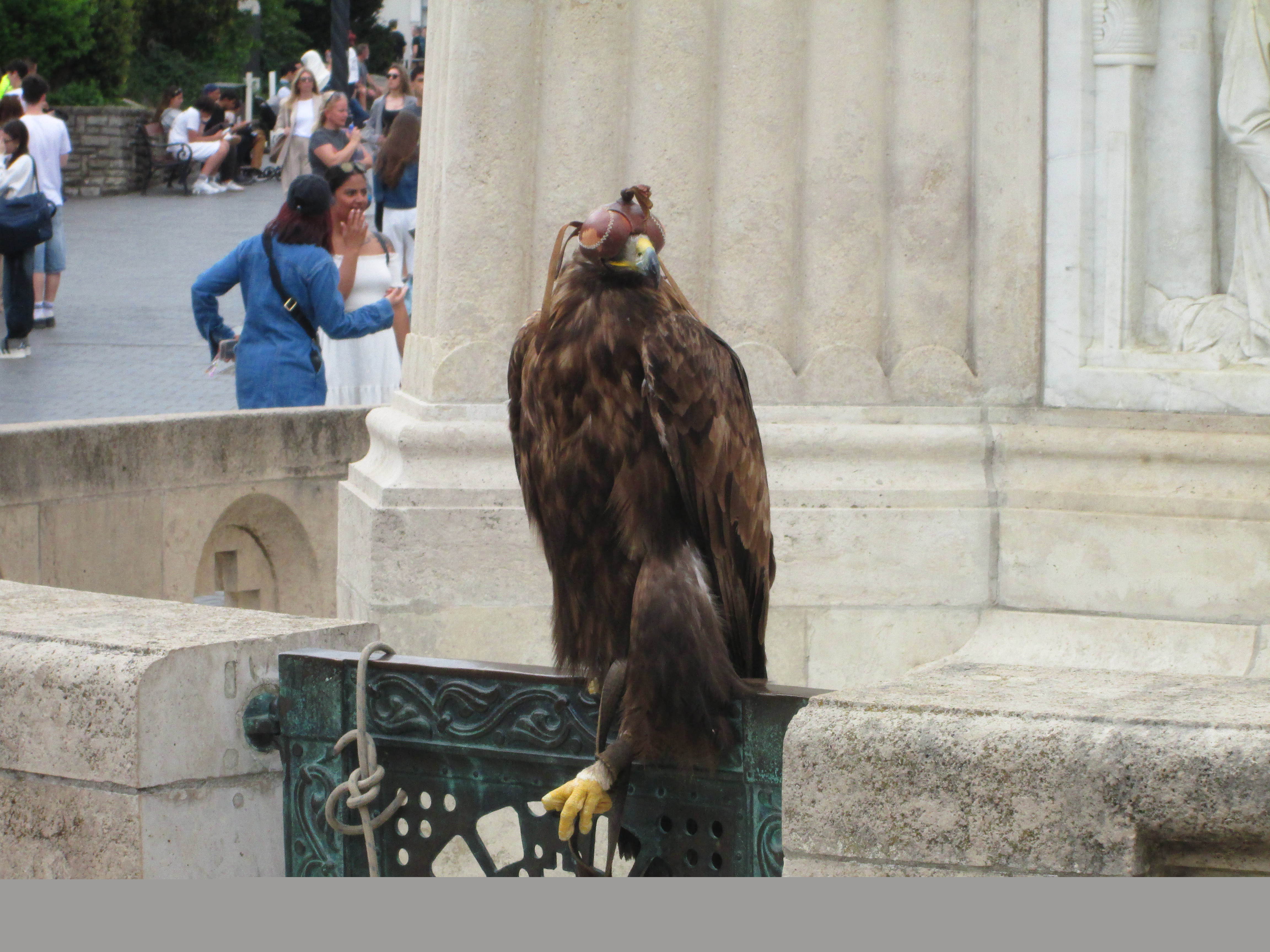 IMG_2946.JPG
