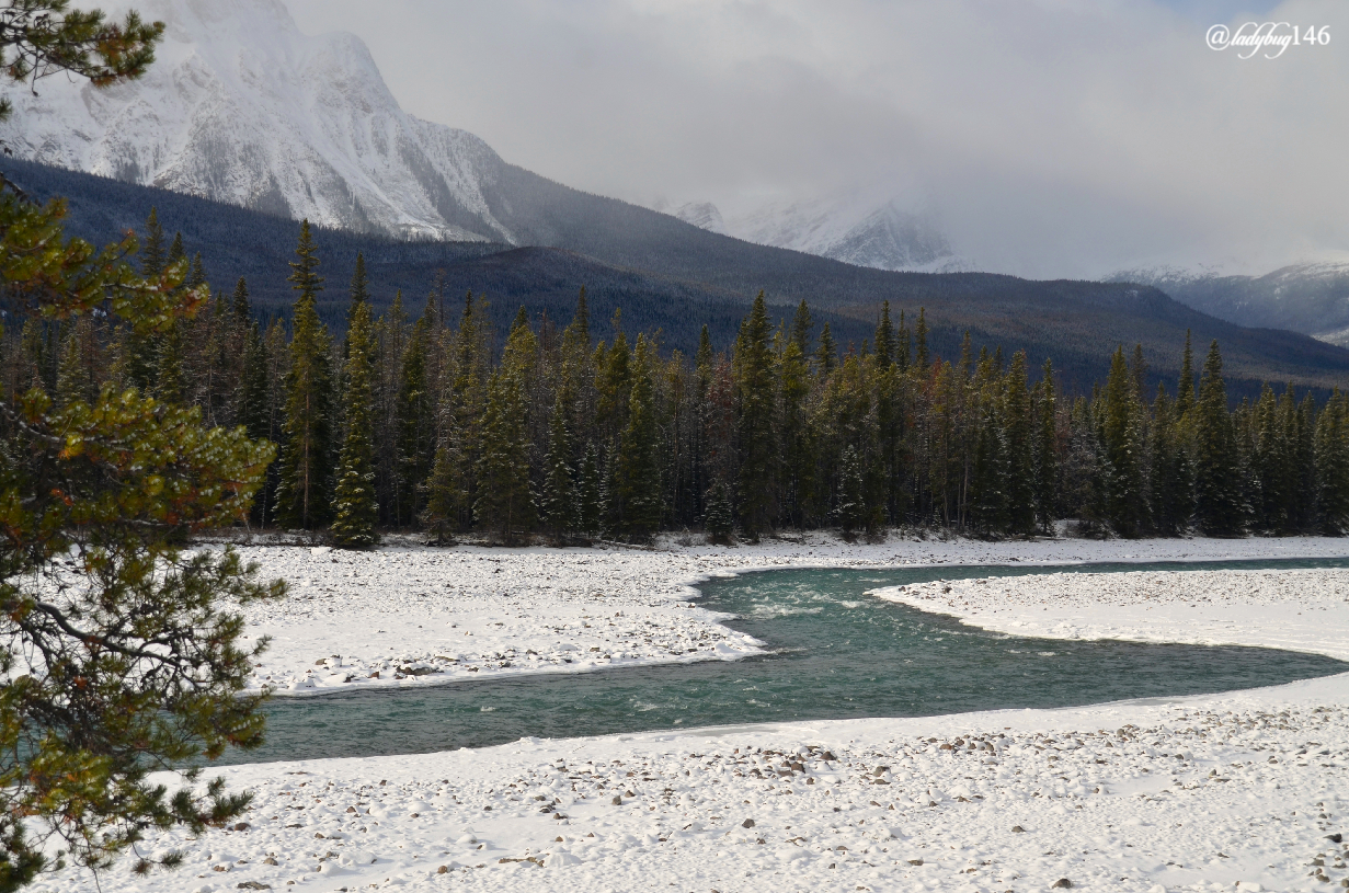 icefield parkway_athabasca river.jpg