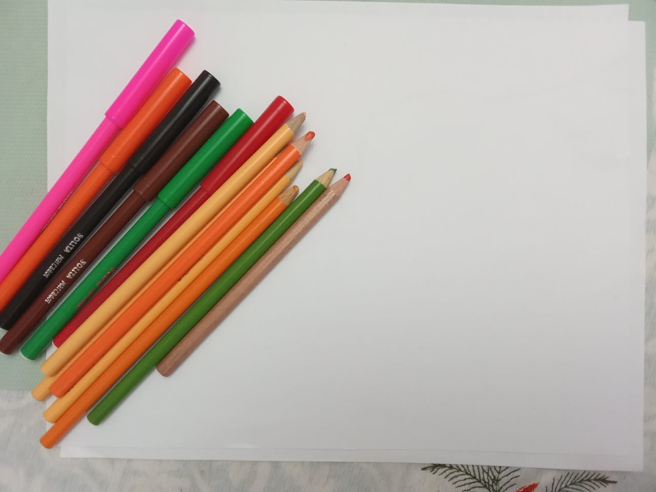 2b5bf1d2-bc3e-48e3-af68-f8668ff9dd41.jpg