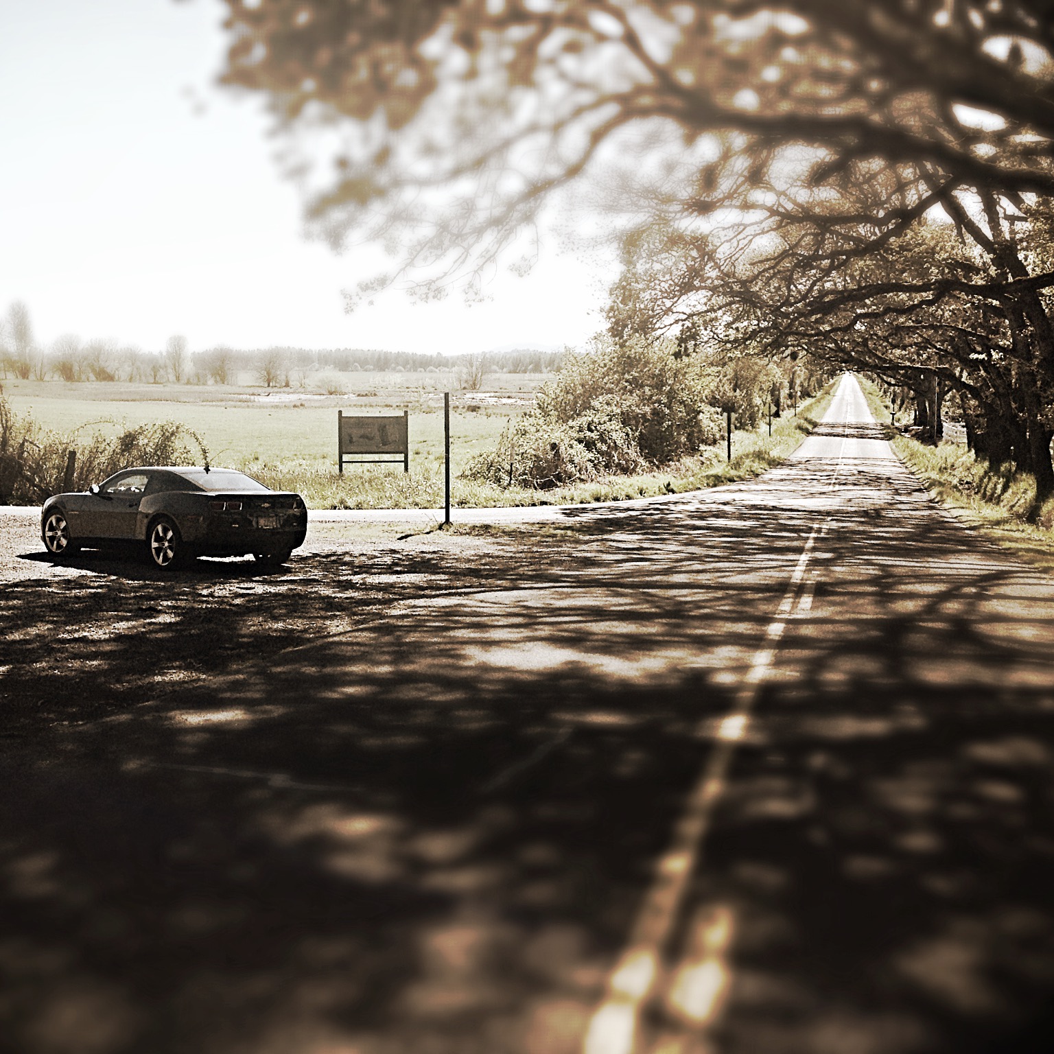 Camaro—Road Less Traveled.JPG