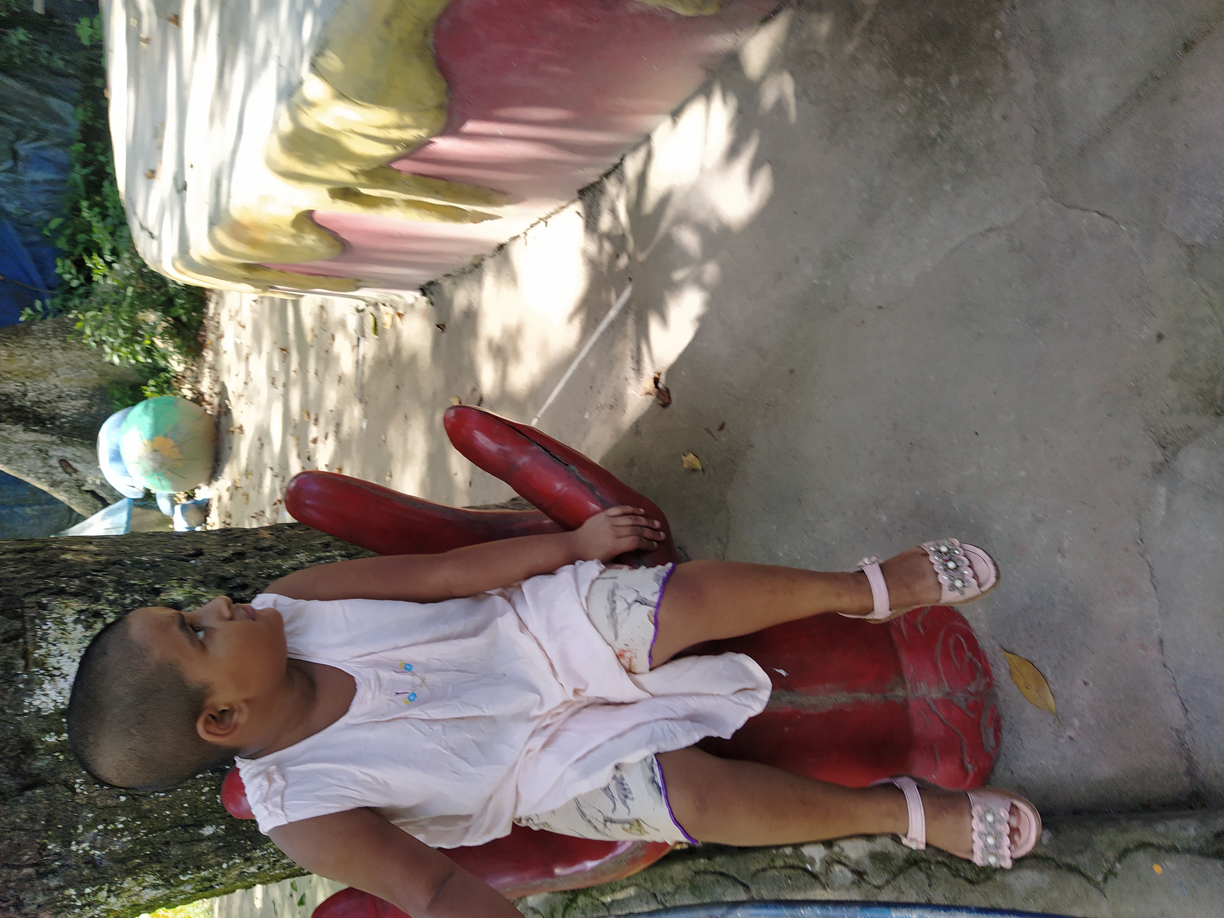 IMG_20230914_125229.jpg