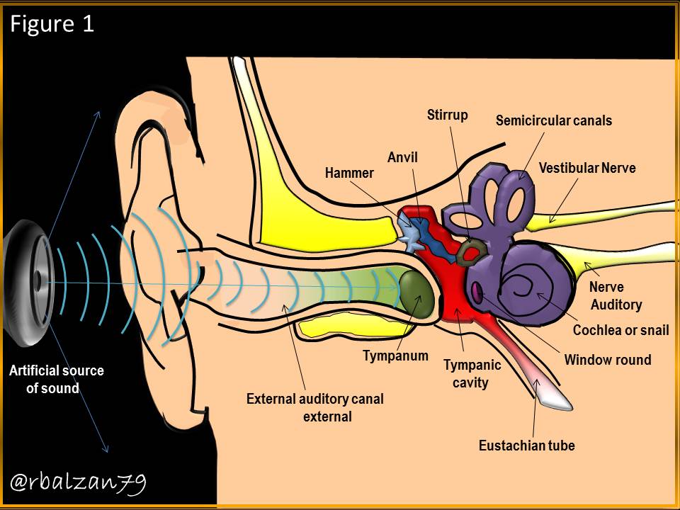 Figure_1.JPG