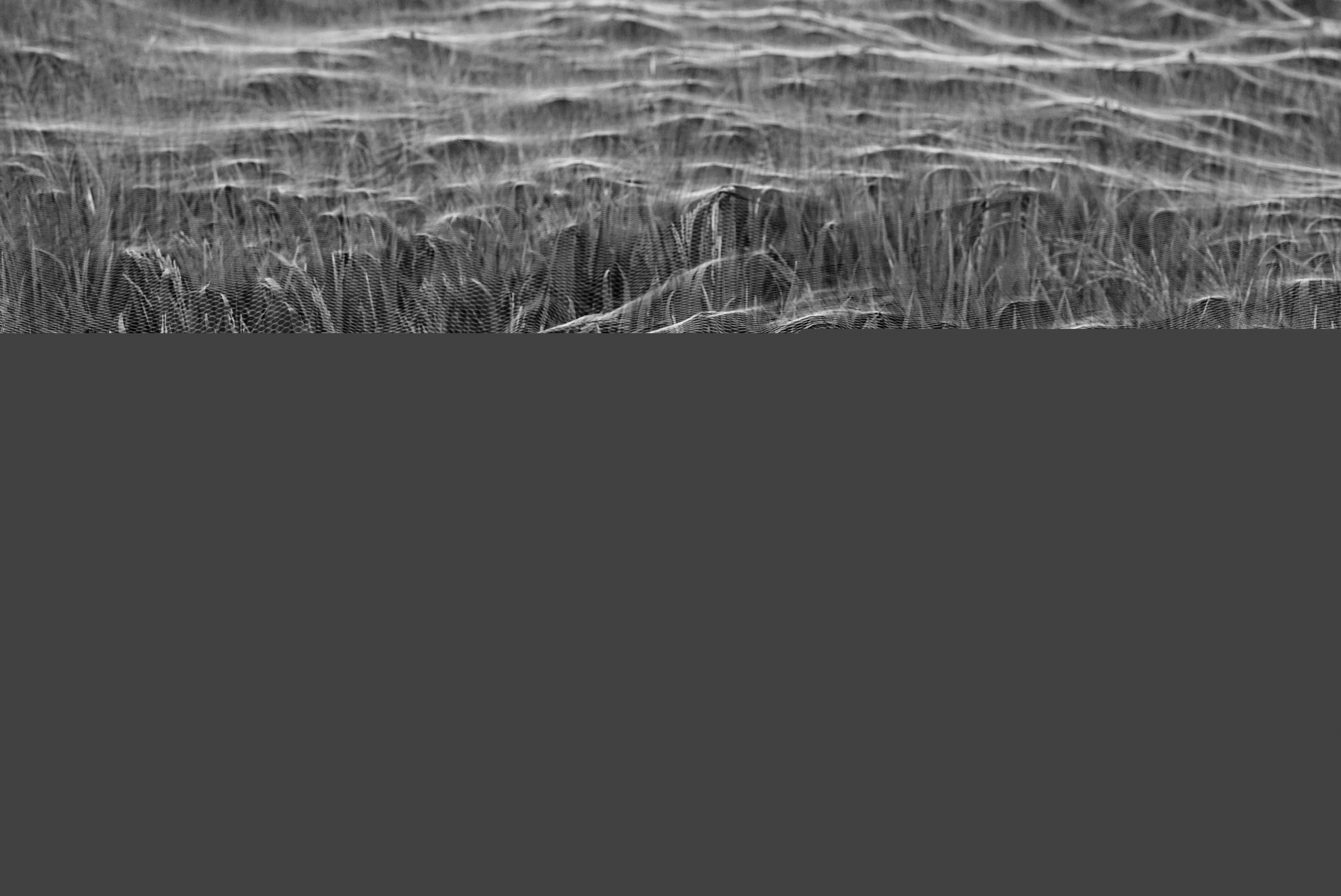 DSC02258-01.jpeg