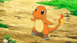 Ash_Charmander.png