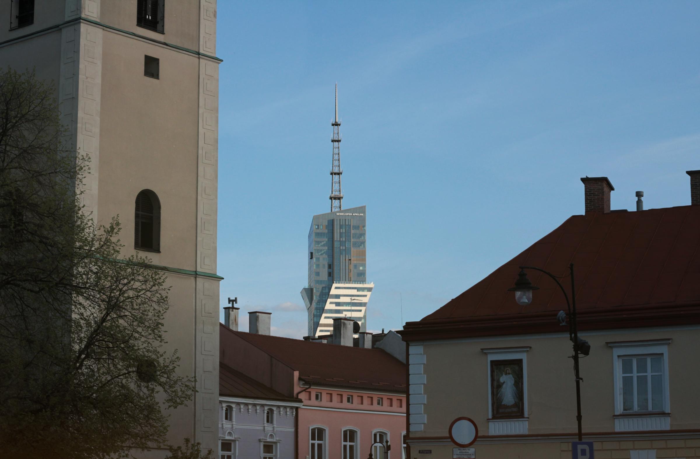 IMG_6690-crop.JPG