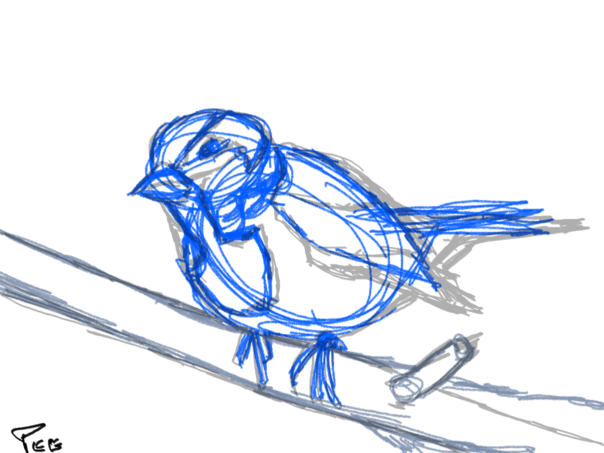 moineau3.PNG