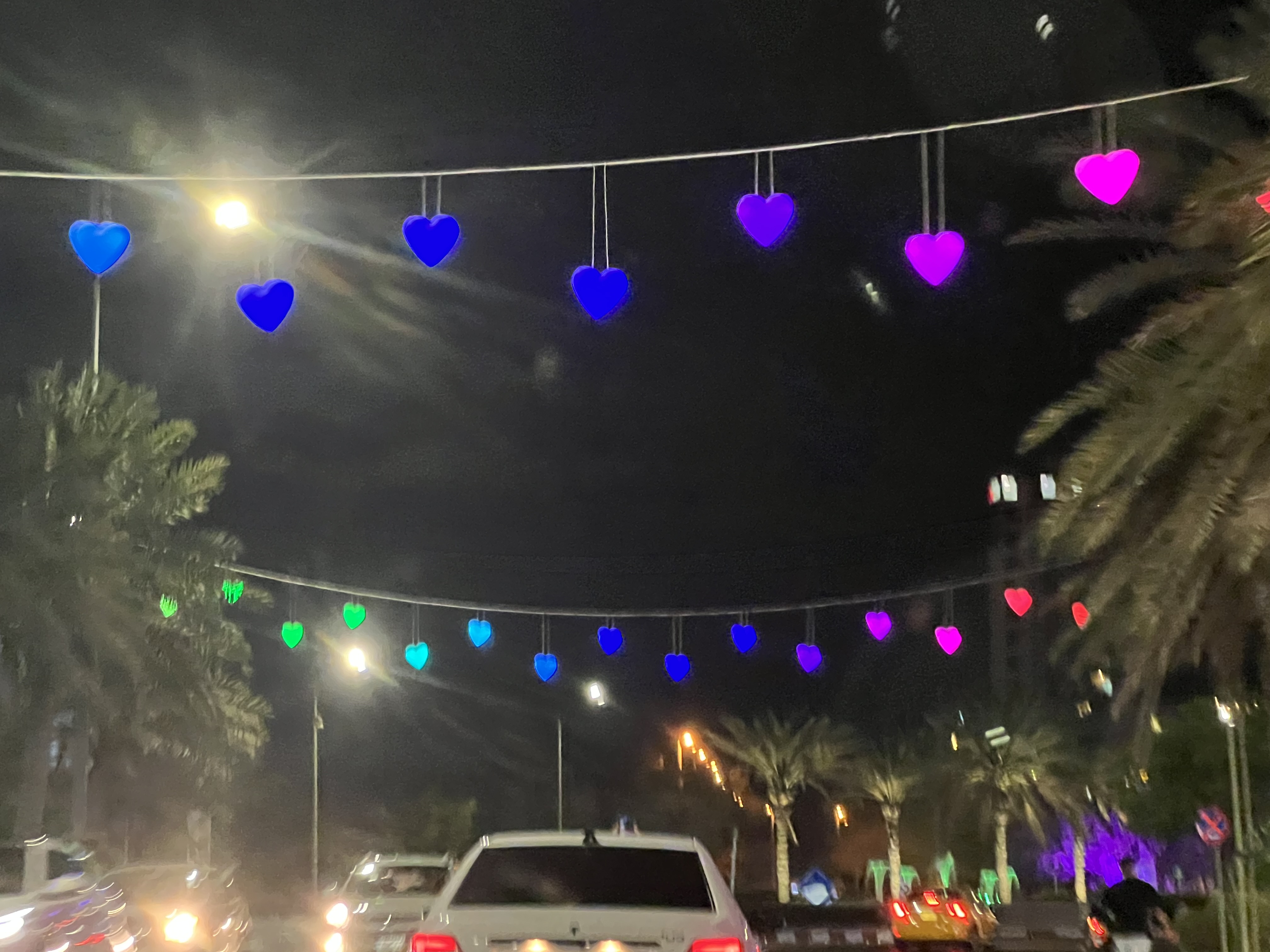 IMG_0403.jpeg