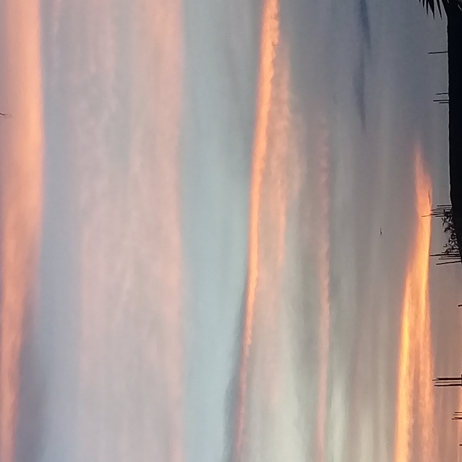 20220806_184553.jpg