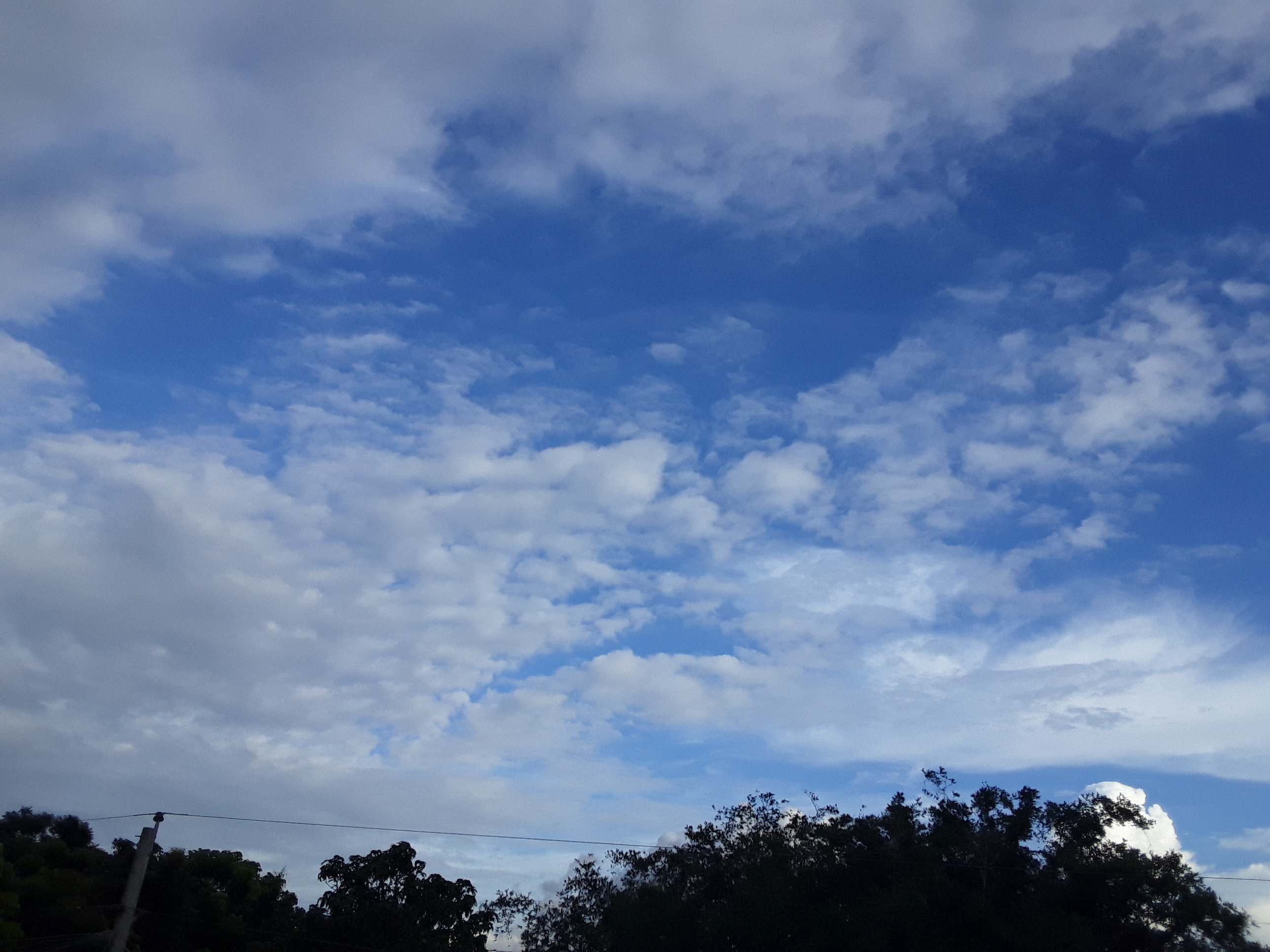 20190904_170910.jpg