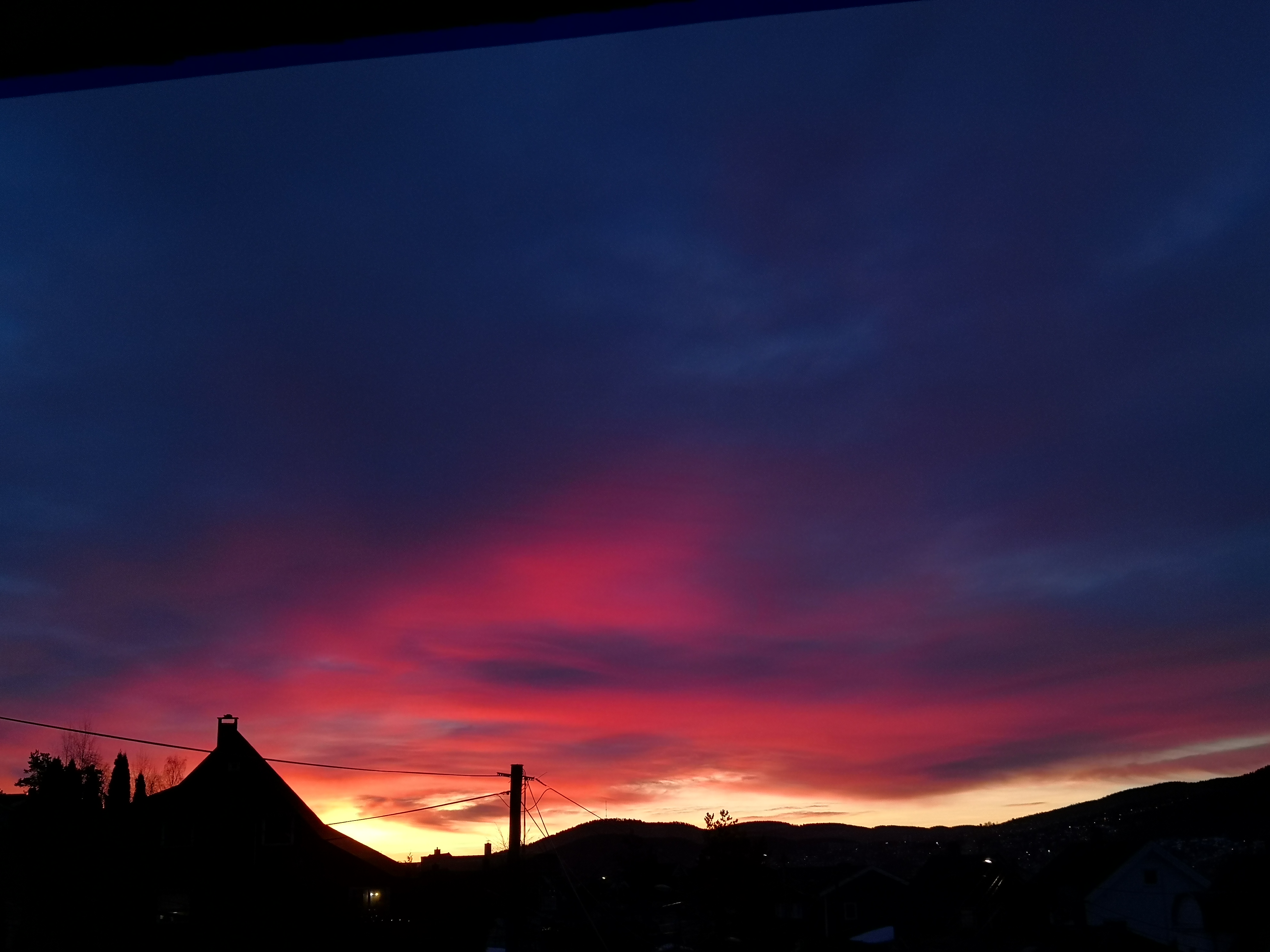 IMG_20220125_082210.jpg