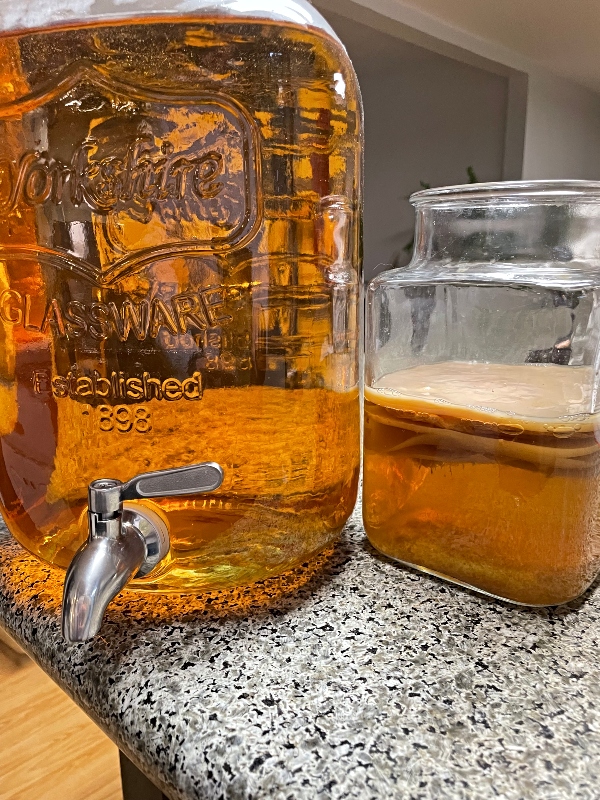 kombucha-tea-ferment-26.jpg