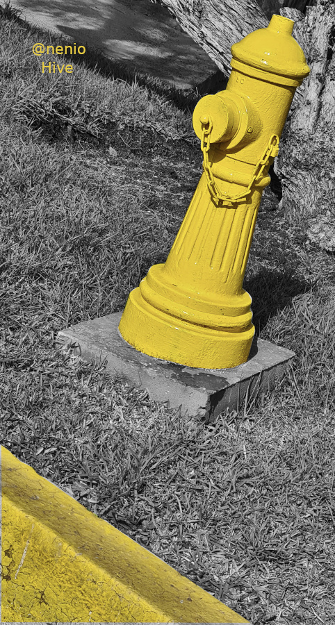 yellow-hydrant-004.jpg