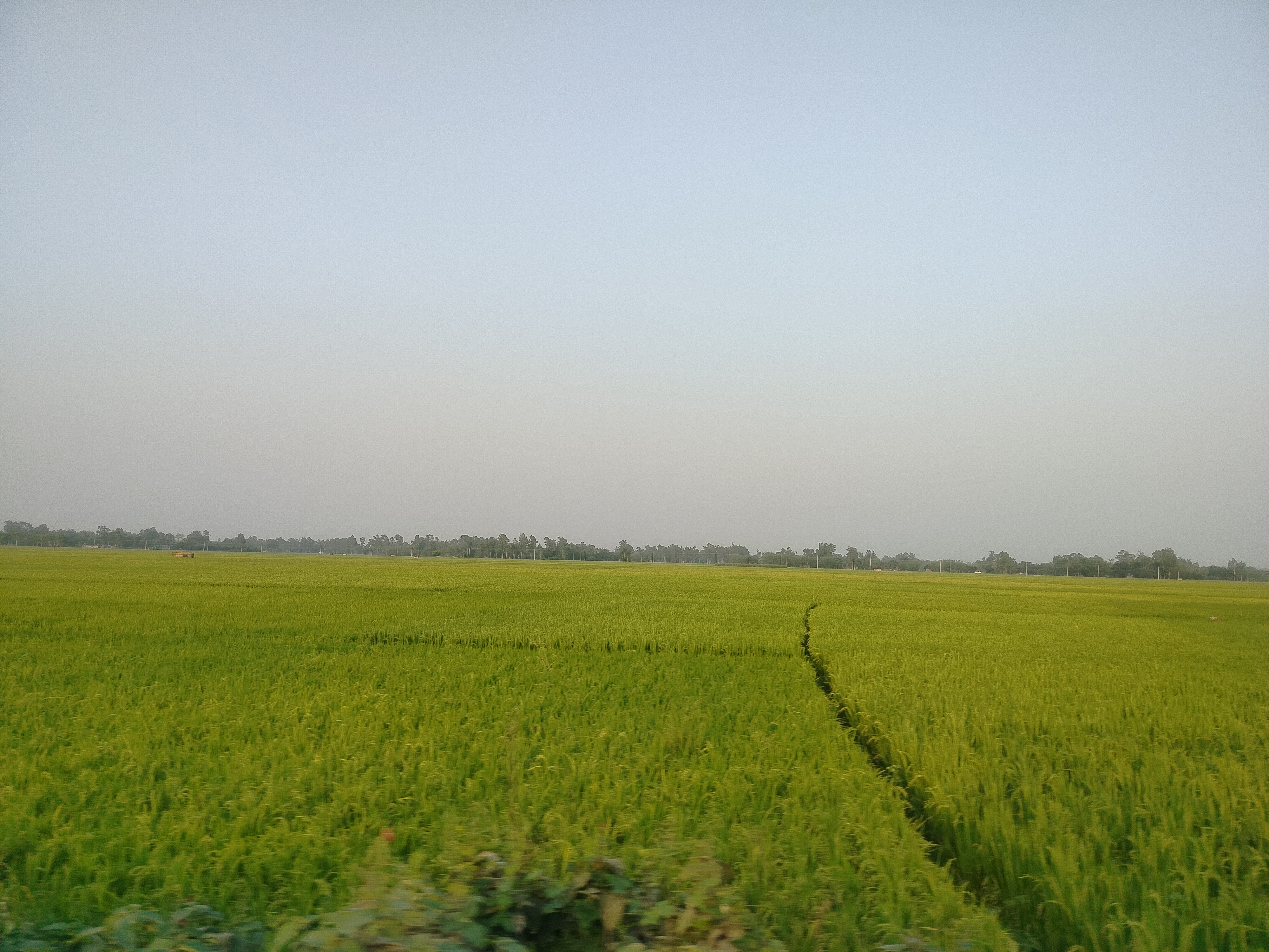 IMG20250423174444.jpg
