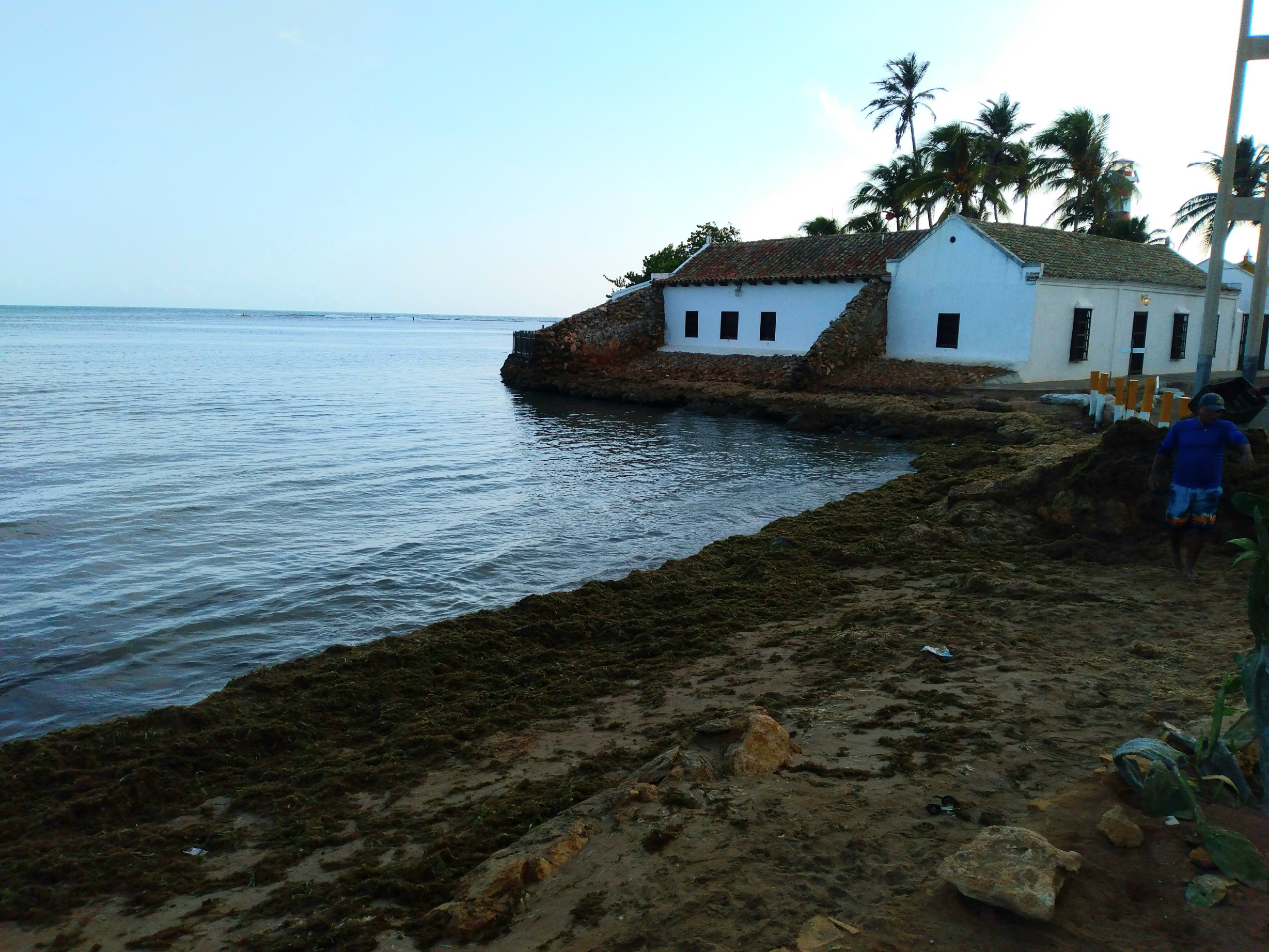20250830_073444.jpg