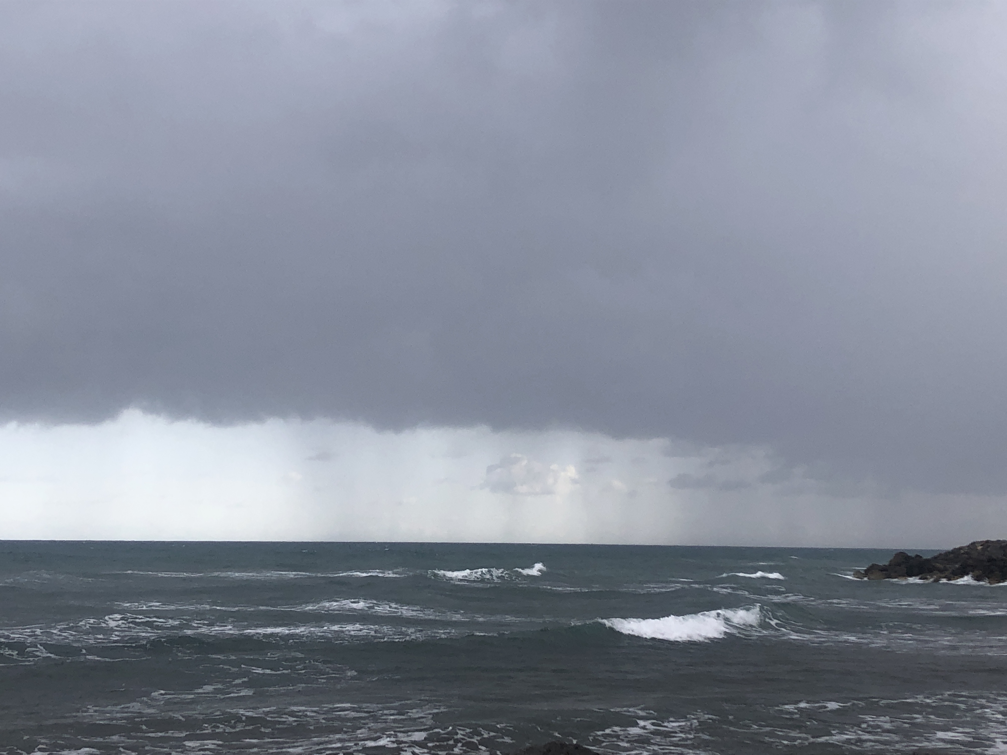 IMG_3282.jpeg