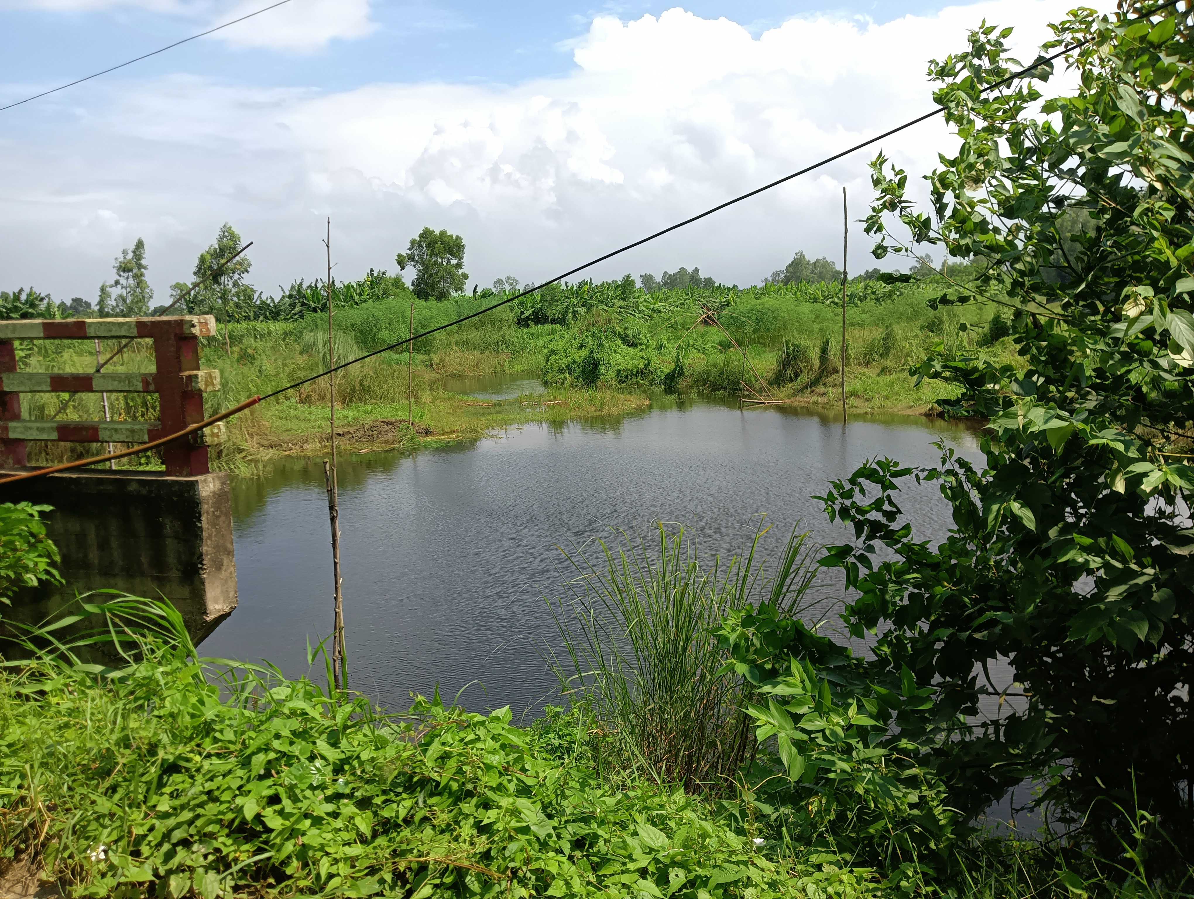 IMG20250822135515.jpg