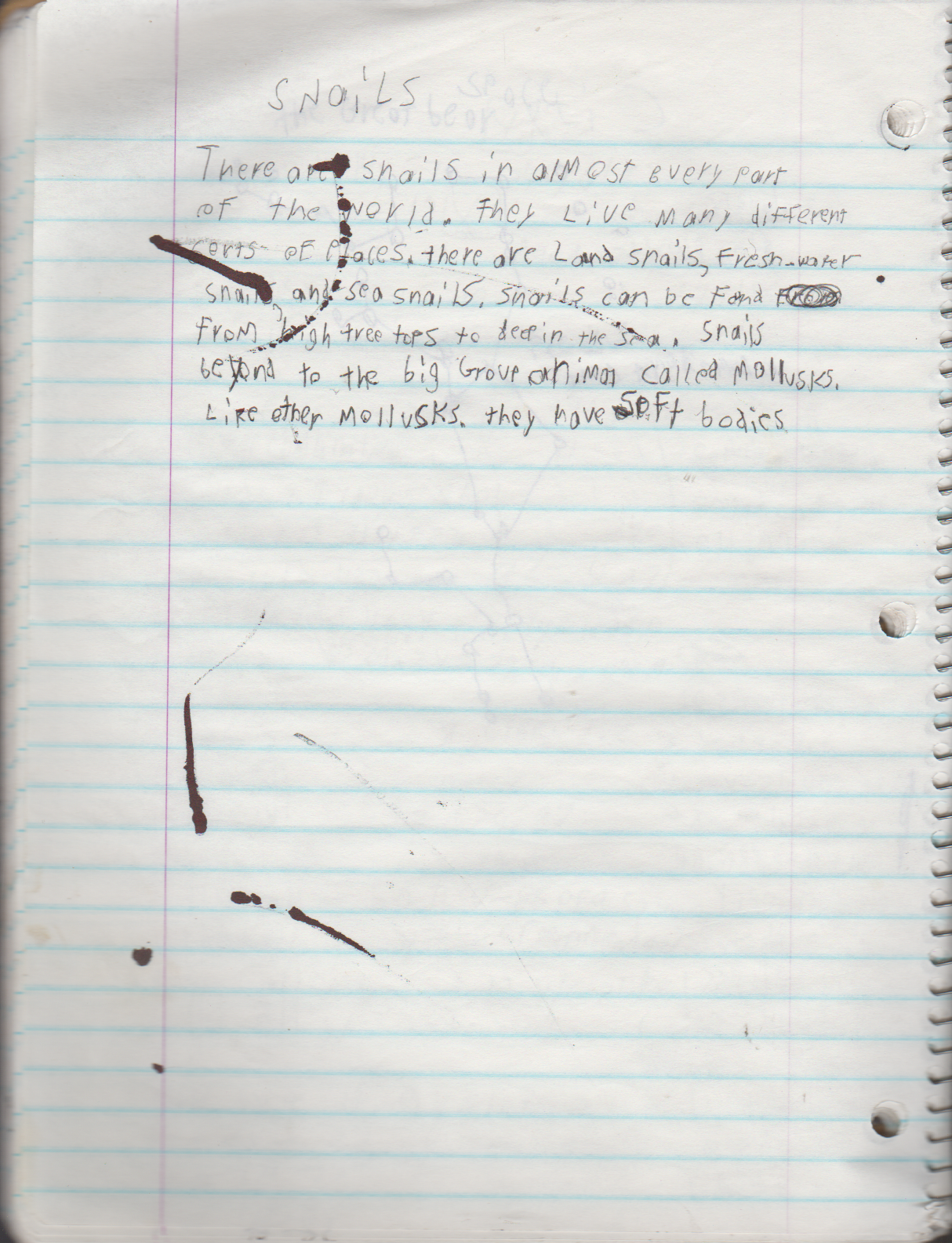 1996-08-18 - Saturday - 11 yr old Joey Arnold's School Book, dates through to 1998 apx, mostly 96, Writings, Drawings, Etc-040.png