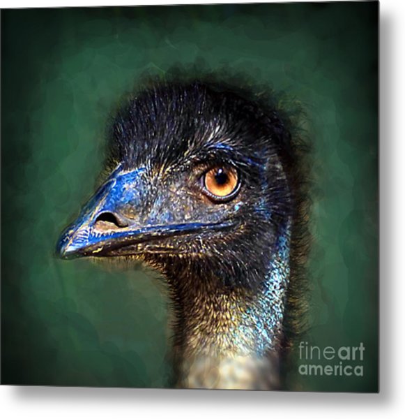 emu-profile- m print .jpg