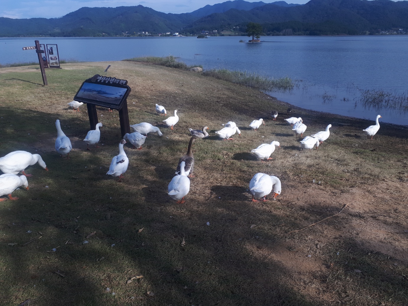 KakaoTalk_20231010_090159444.jpg